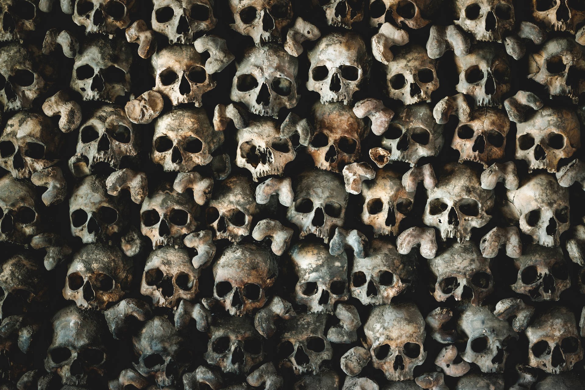 5472X3648 Skull Wallpaper and Background