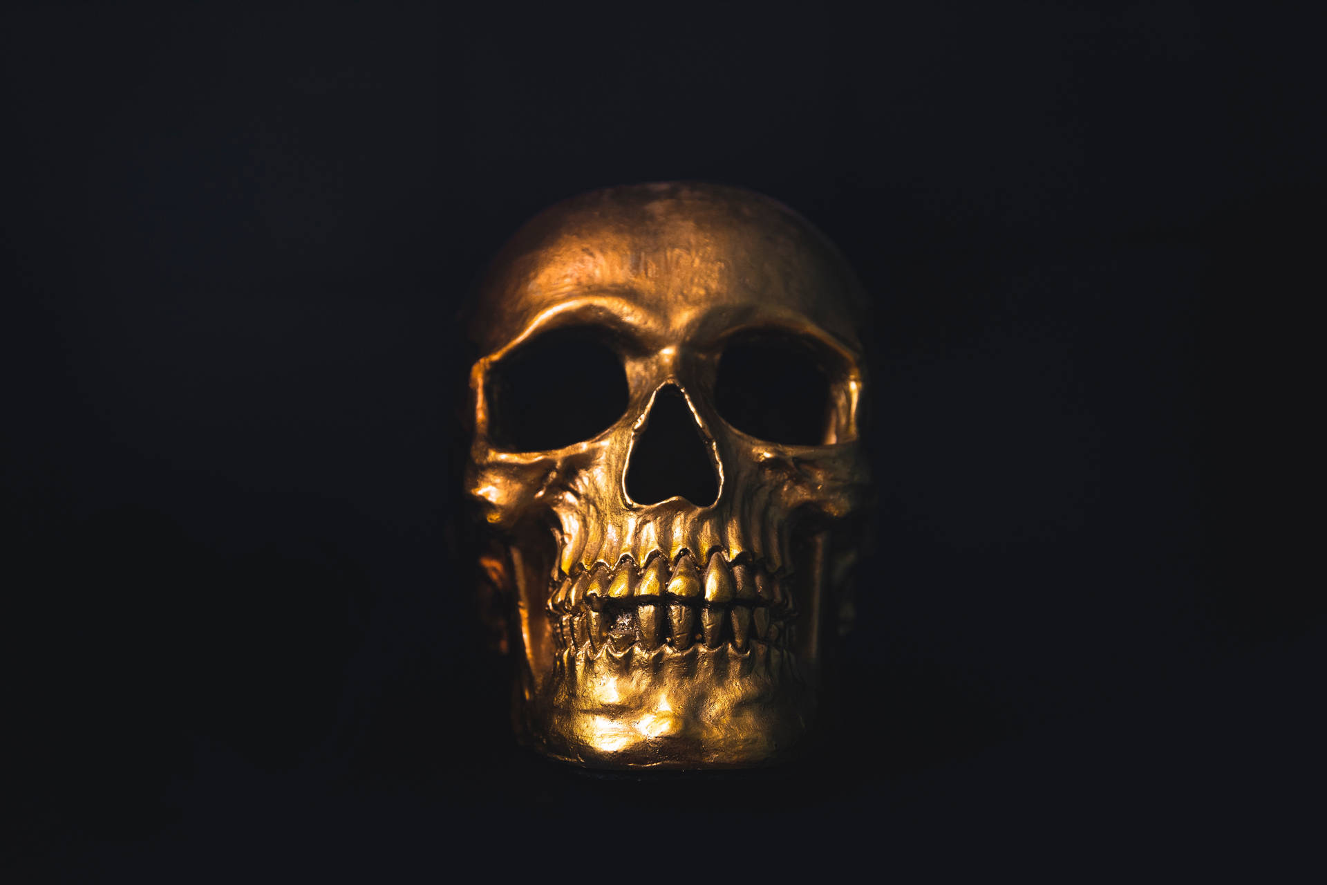 6720X4480 Skull Wallpaper and Background