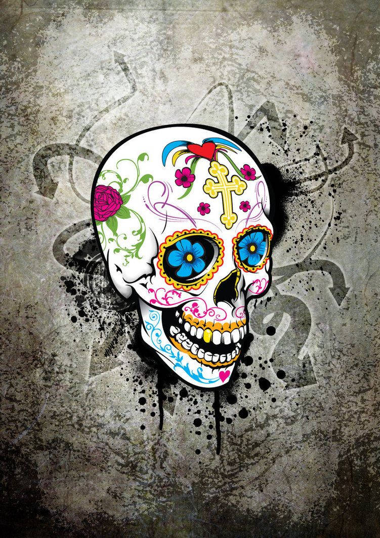 751X1062 Skull Wallpaper and Background