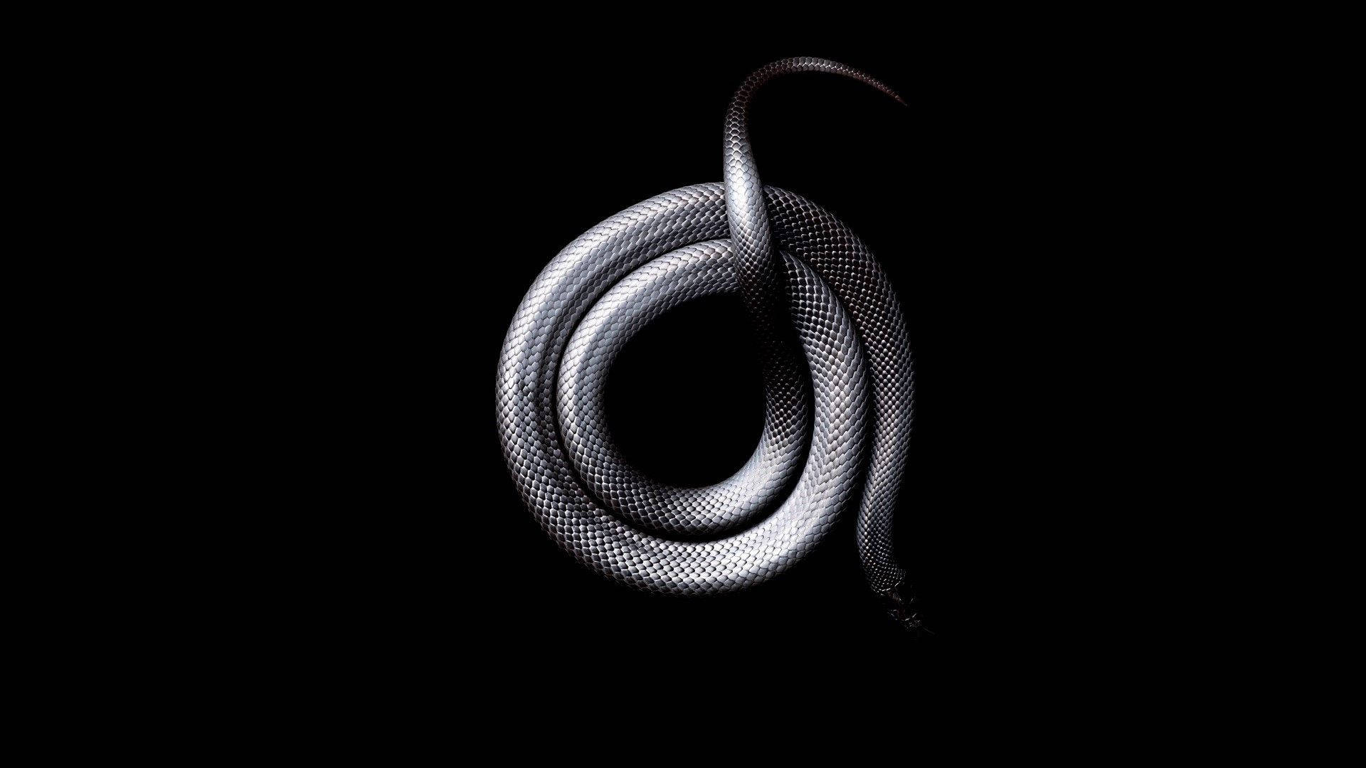1920X1080 Snake Wallpaper and Background