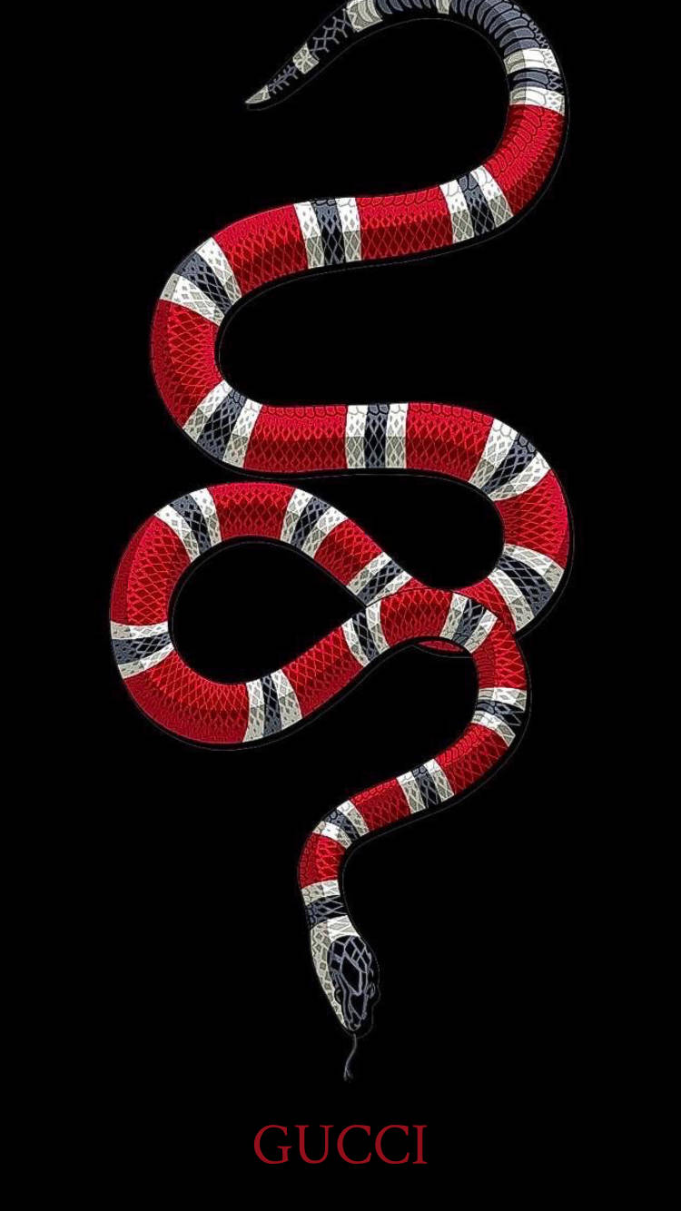 750X1334 Snake Wallpaper and Background