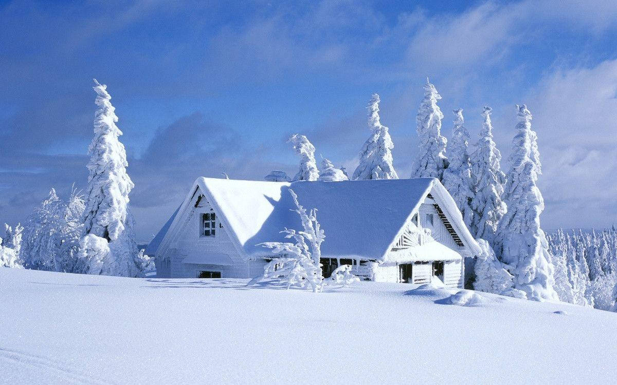 1200X750 Snow Wallpaper and Background