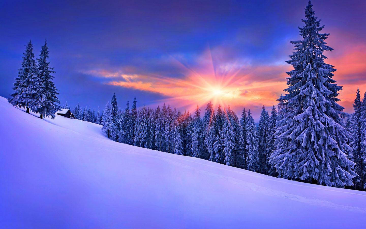 1440X900 Snow Wallpaper and Background