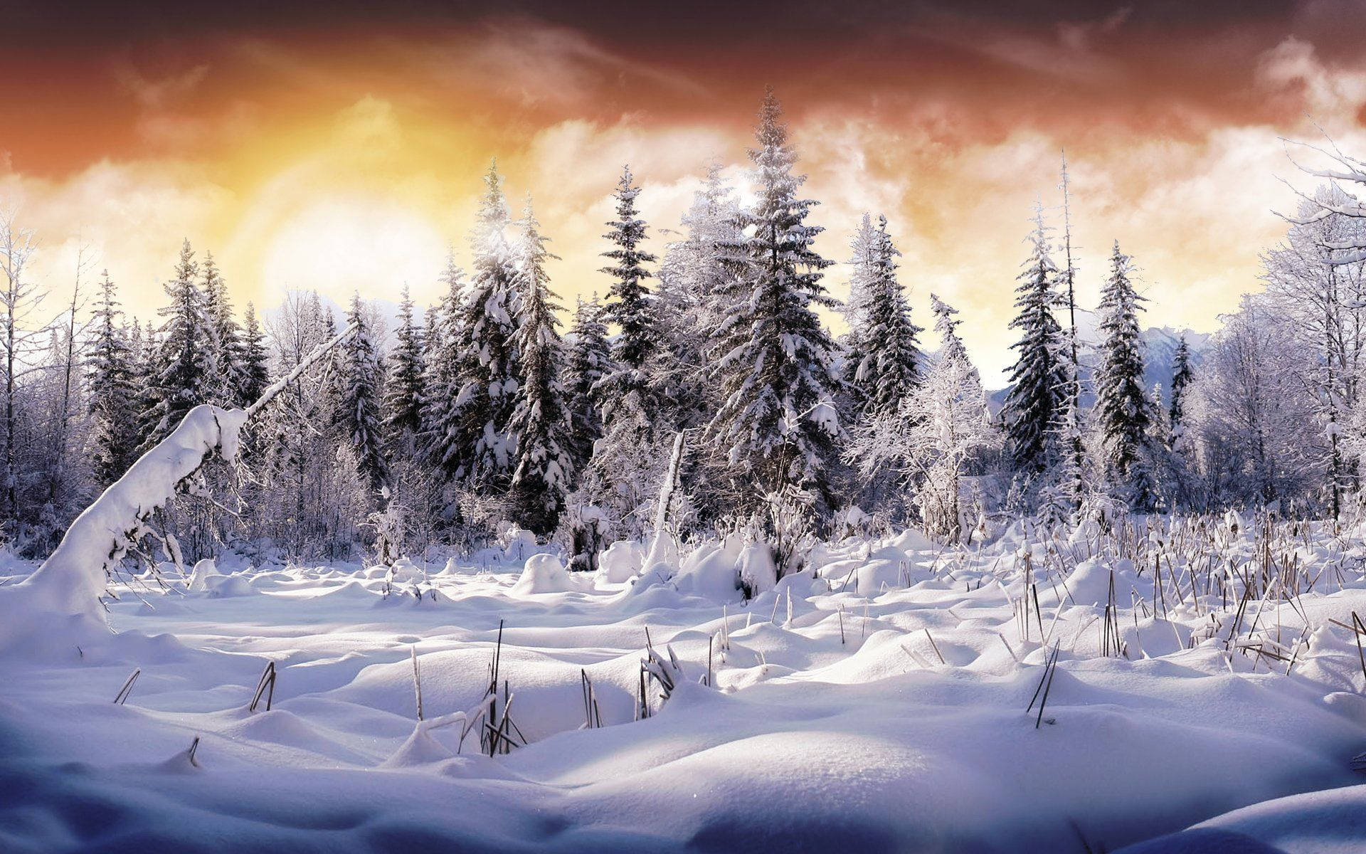 1920X1200 Snow Wallpaper and Background