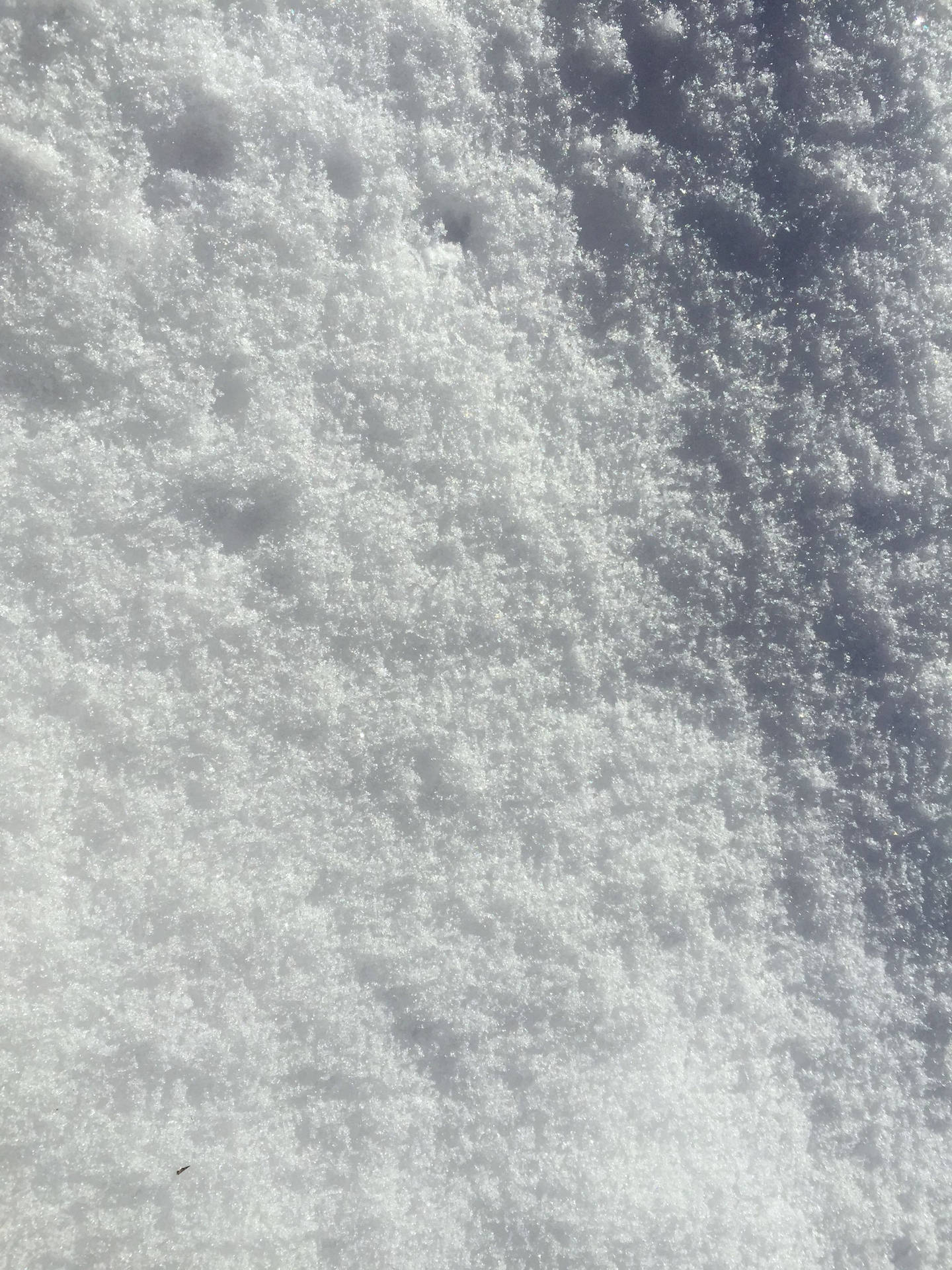 2208X2944 Snow Wallpaper and Background