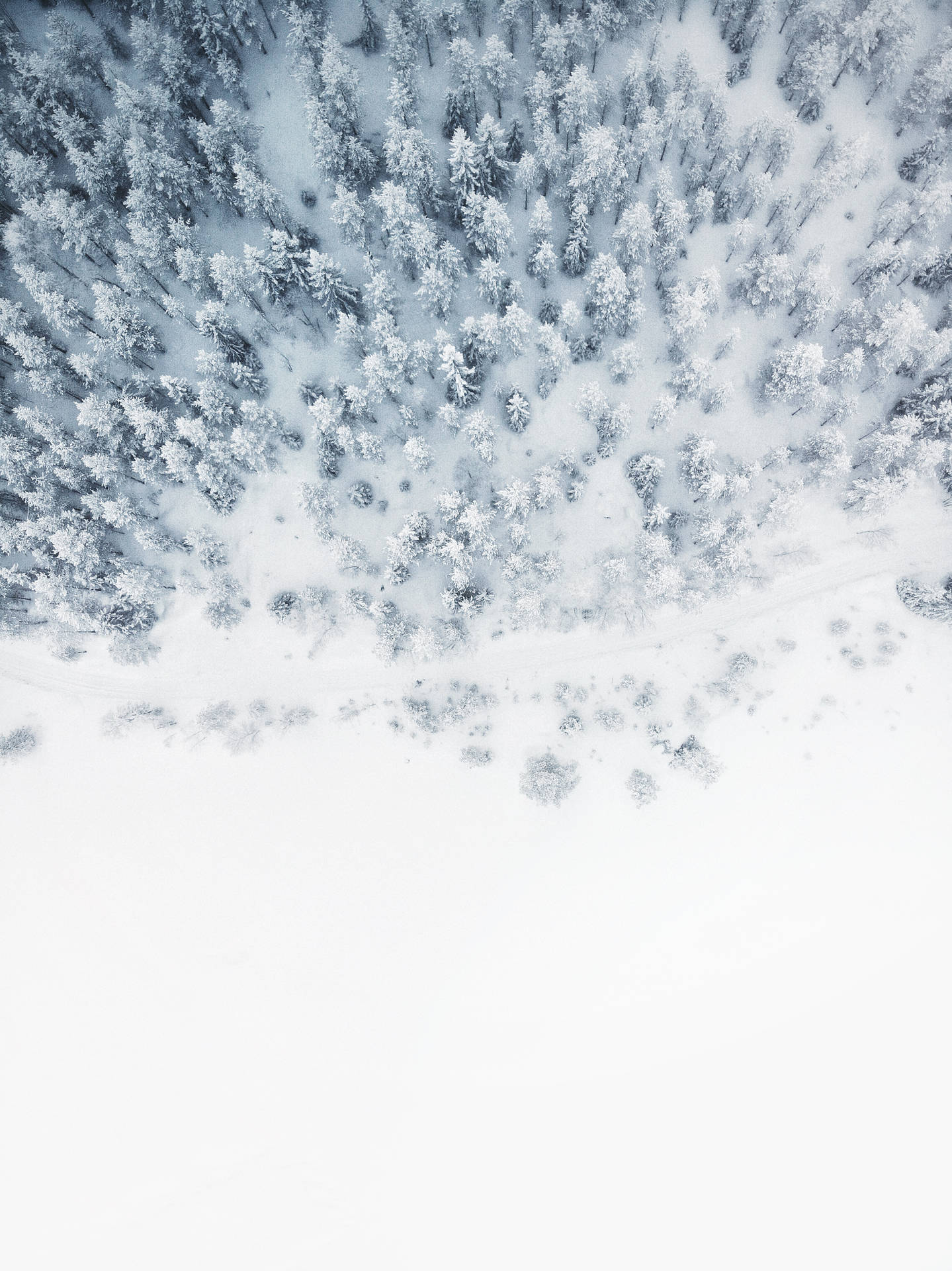 3040X4056 Snow Wallpaper and Background