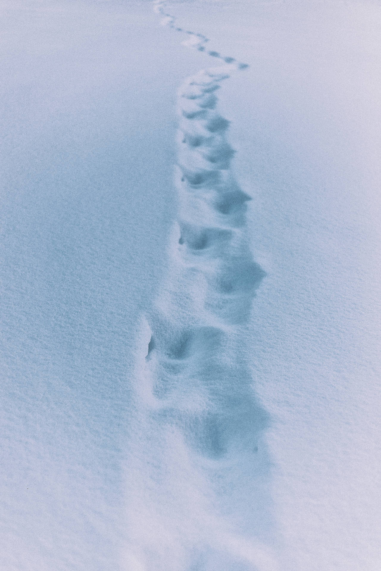 3648X5472 Snow Wallpaper and Background