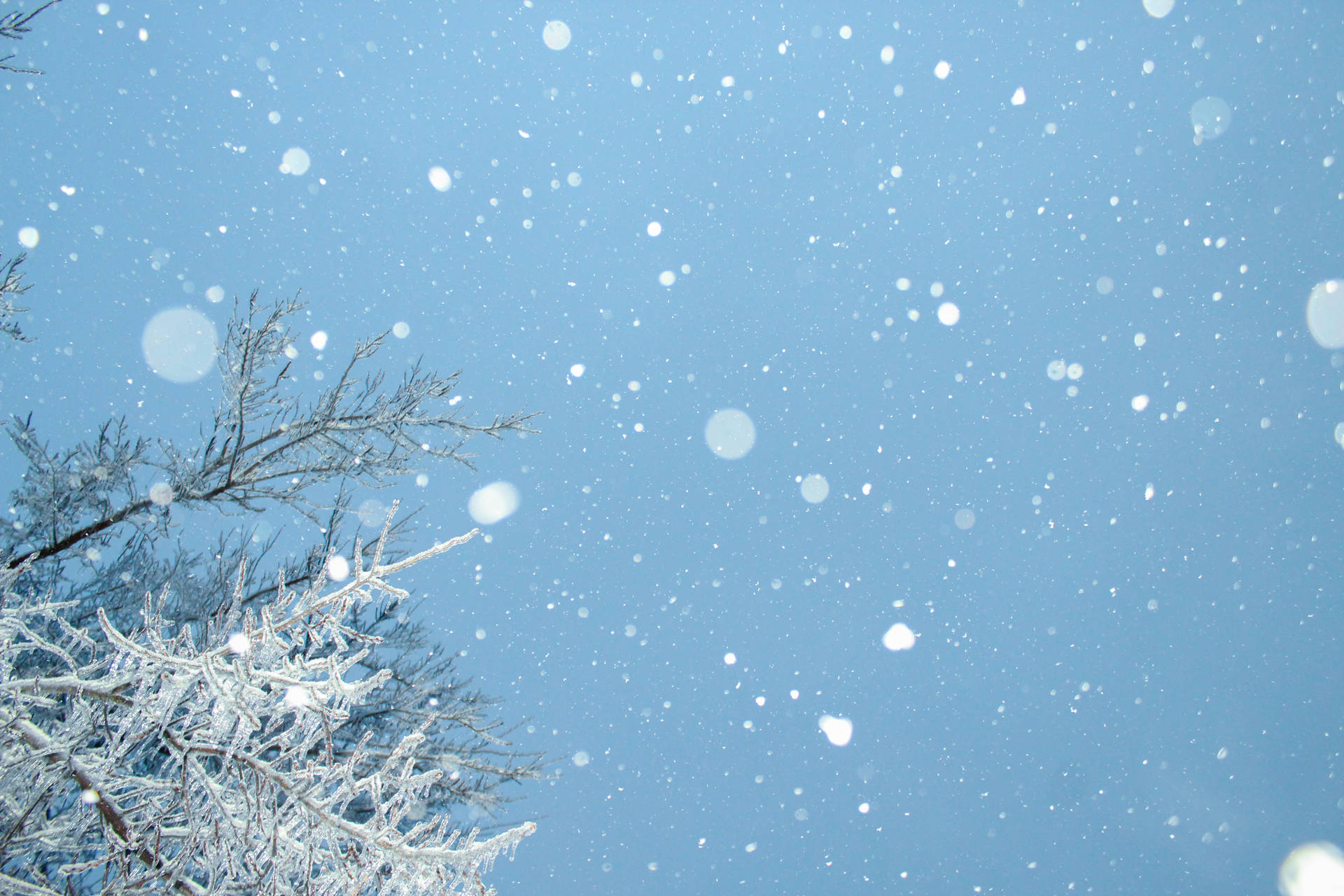 5184X3456 Snow Wallpaper and Background