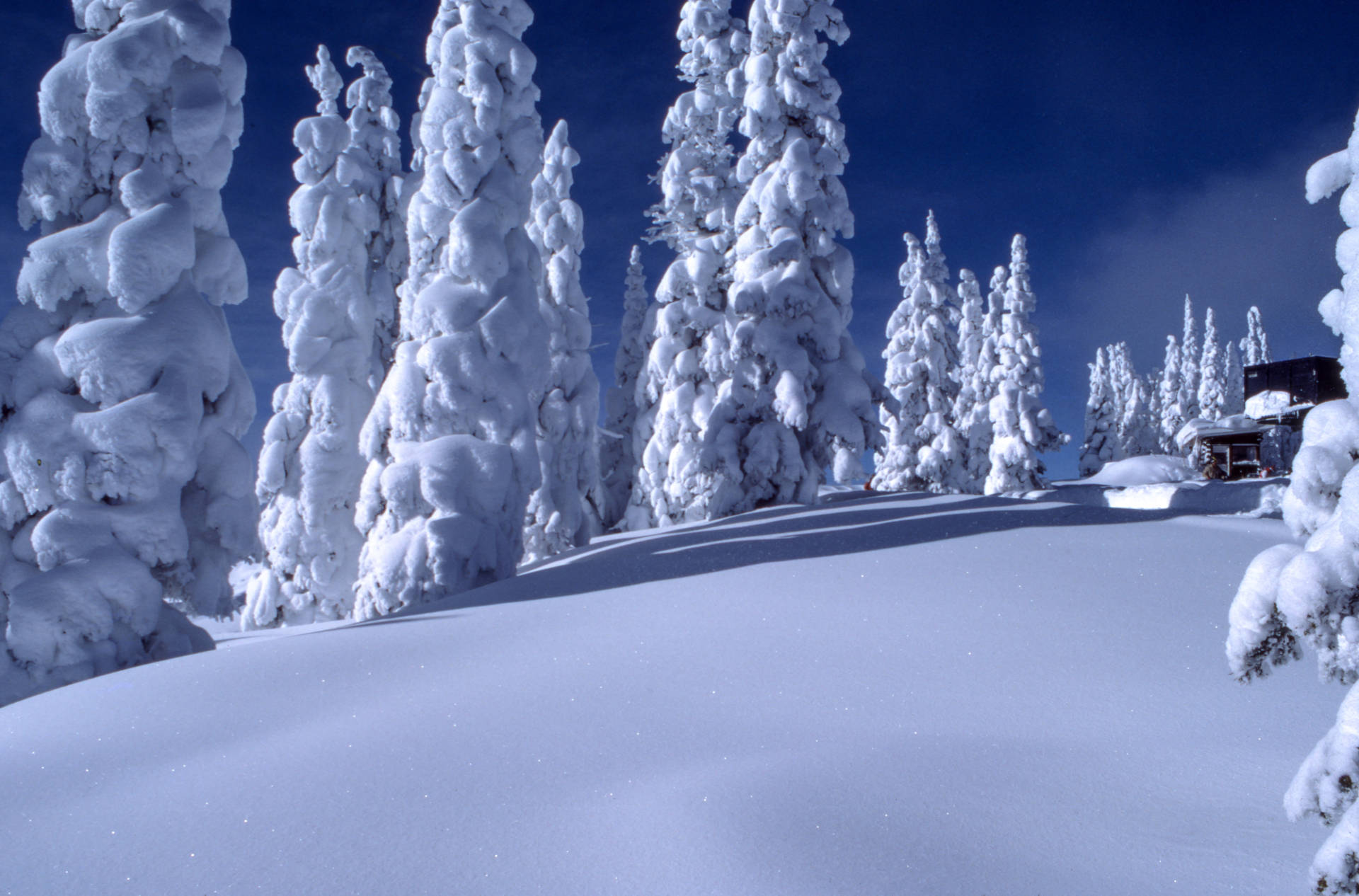 6208X4095 Snow Wallpaper and Background