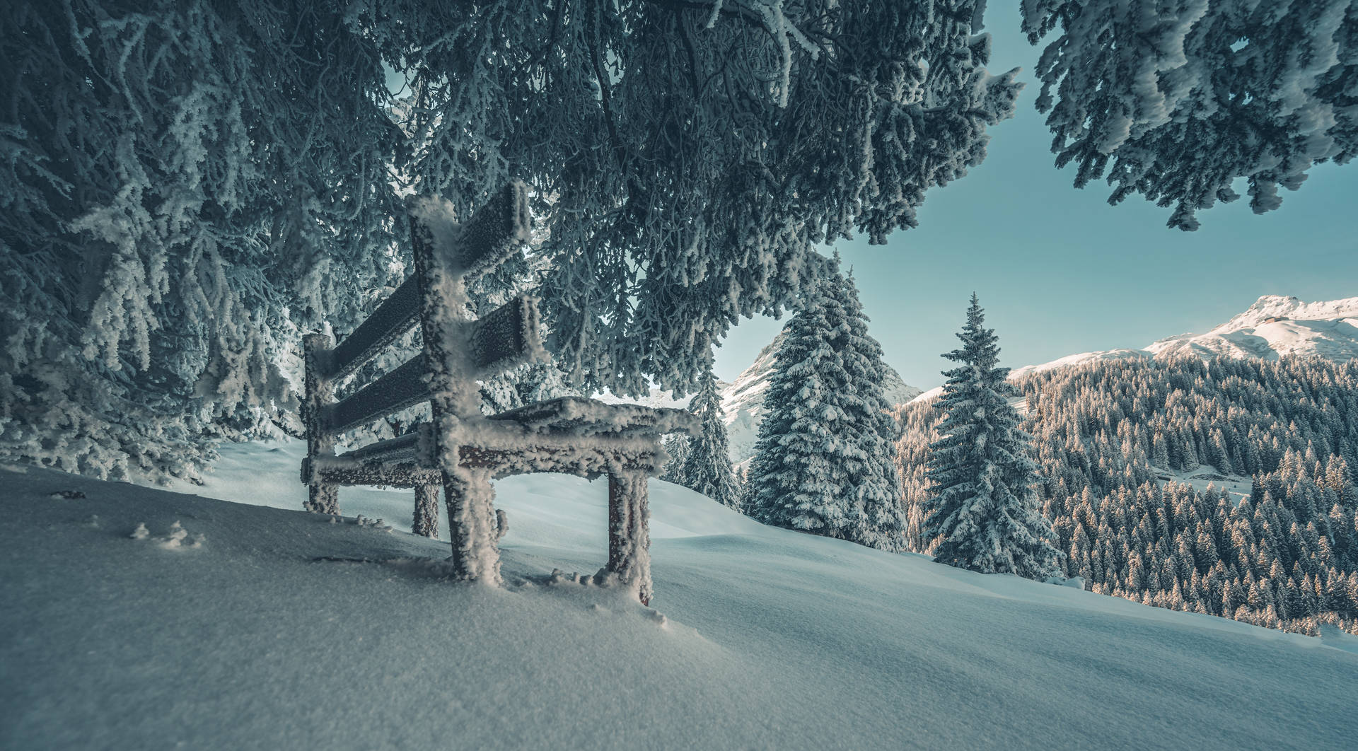 8255X4566 Snow Wallpaper and Background
