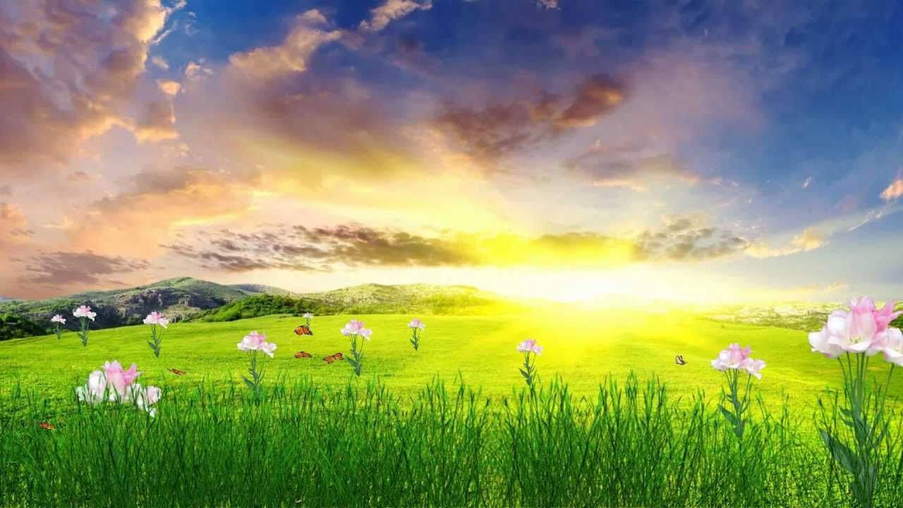 1280X720 Spring Wallpaper and Background