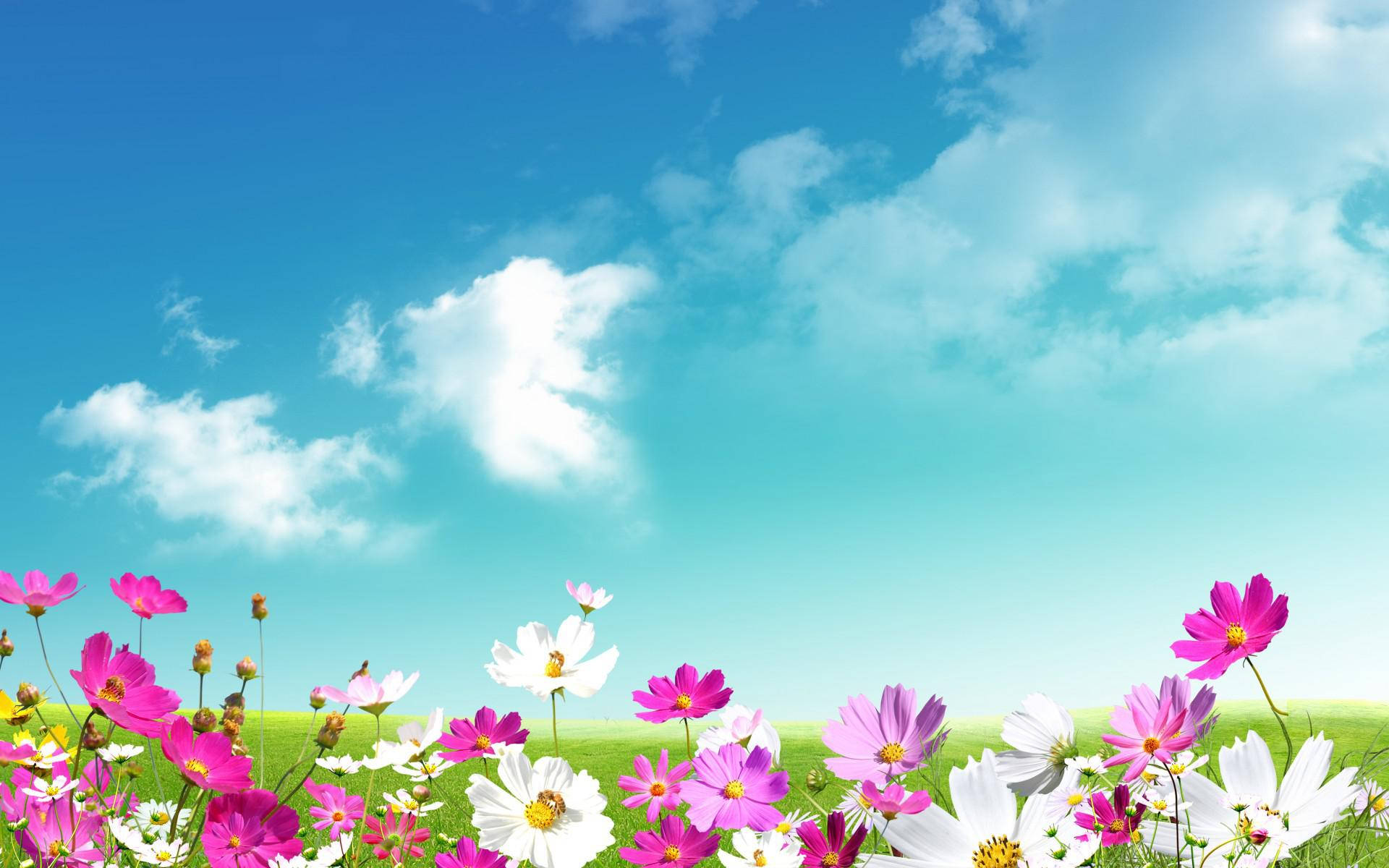 1920X1200 Spring Wallpaper and Background