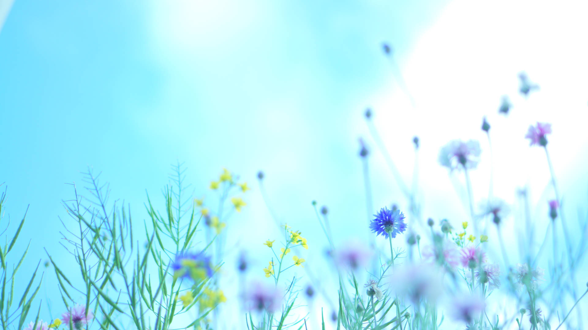 4592X2576 Spring Wallpaper and Background