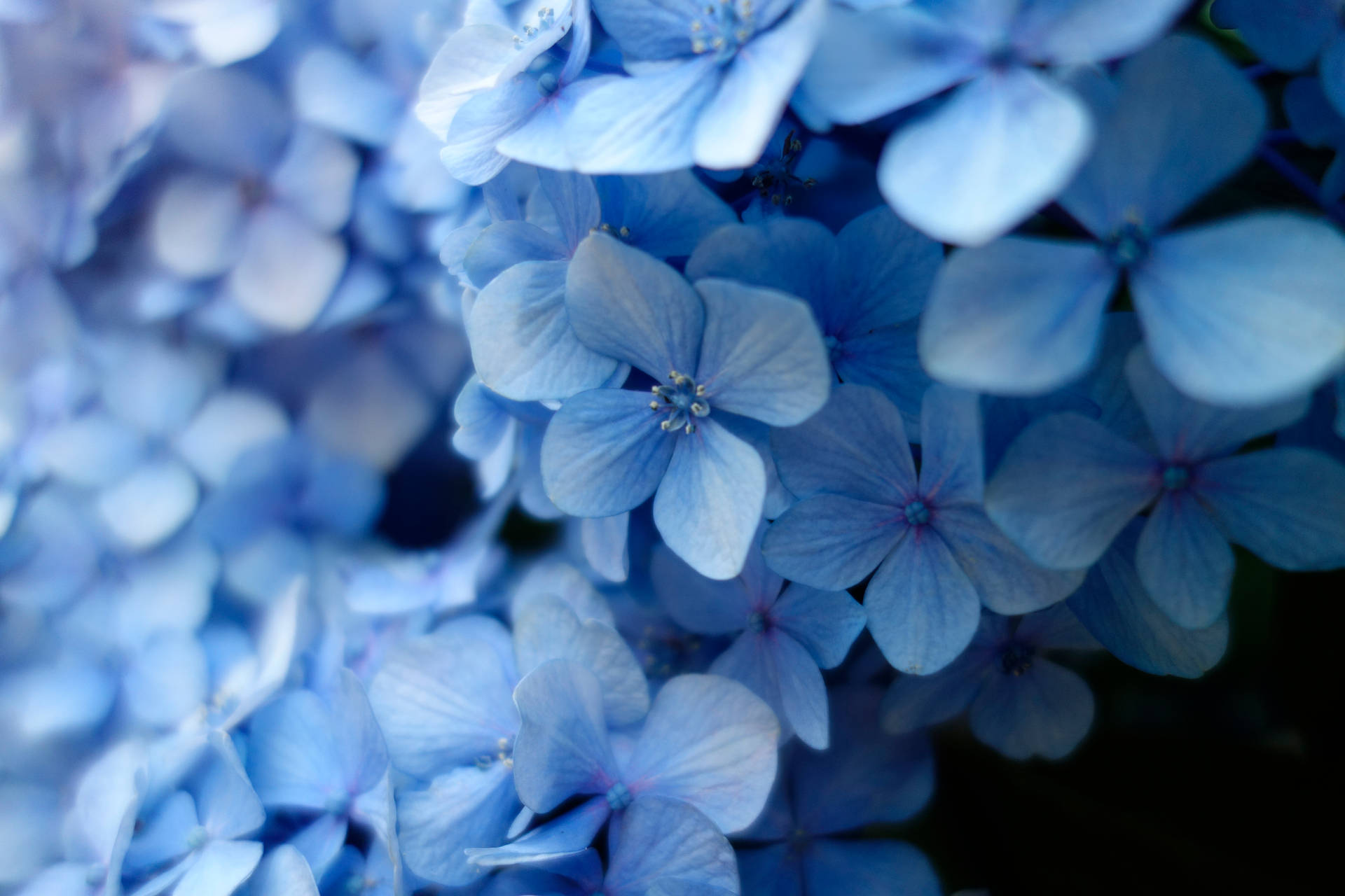 5472X3648 Spring Wallpaper and Background