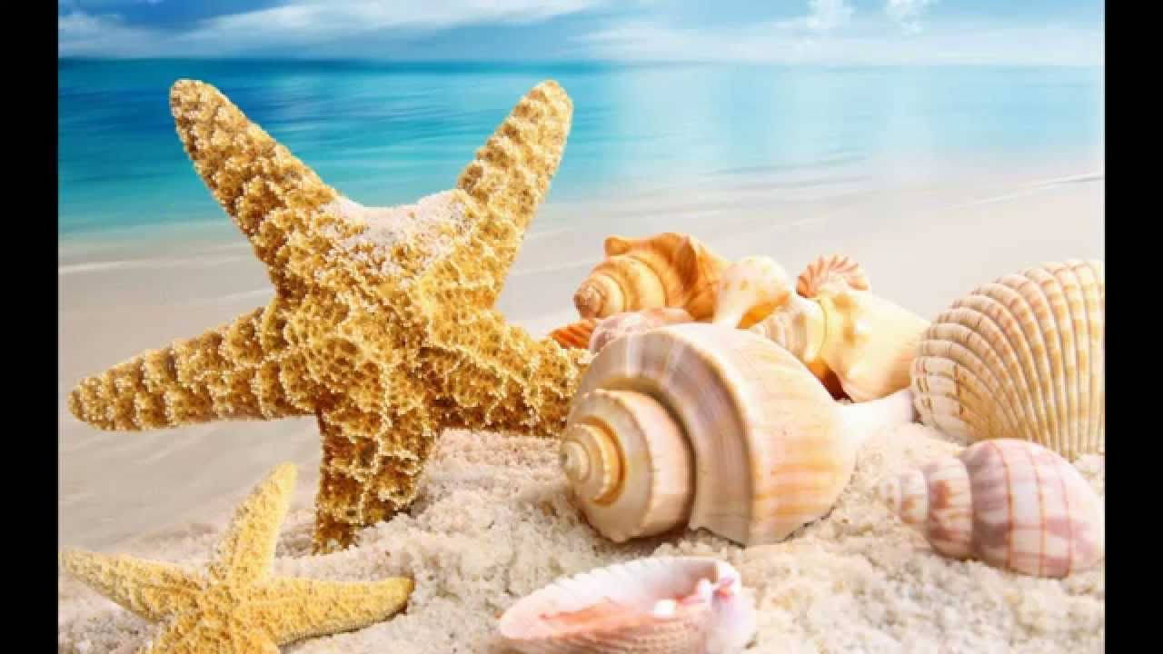 1280X720 Summer Wallpaper and Background