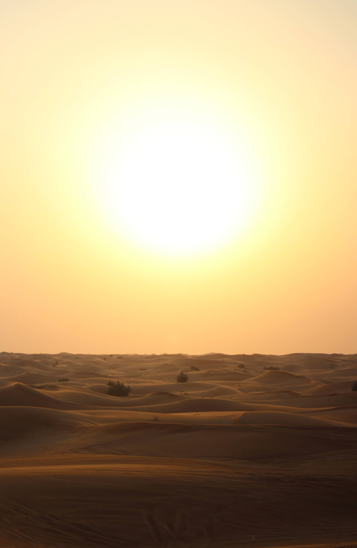3261X4998 Sun Wallpaper and Background