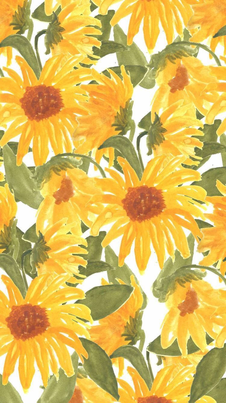 750X1334 Sunflower Wallpaper and Background