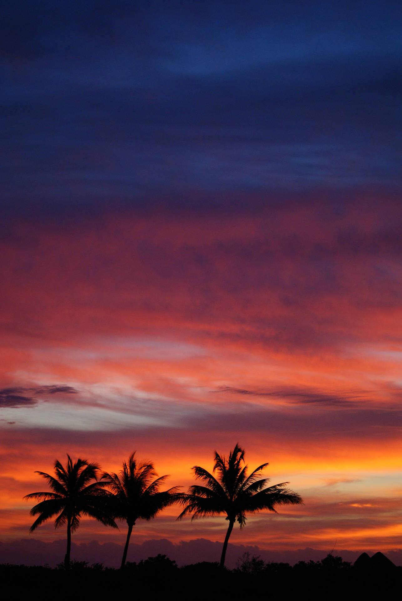 2592X3872 Sunset Wallpaper and Background