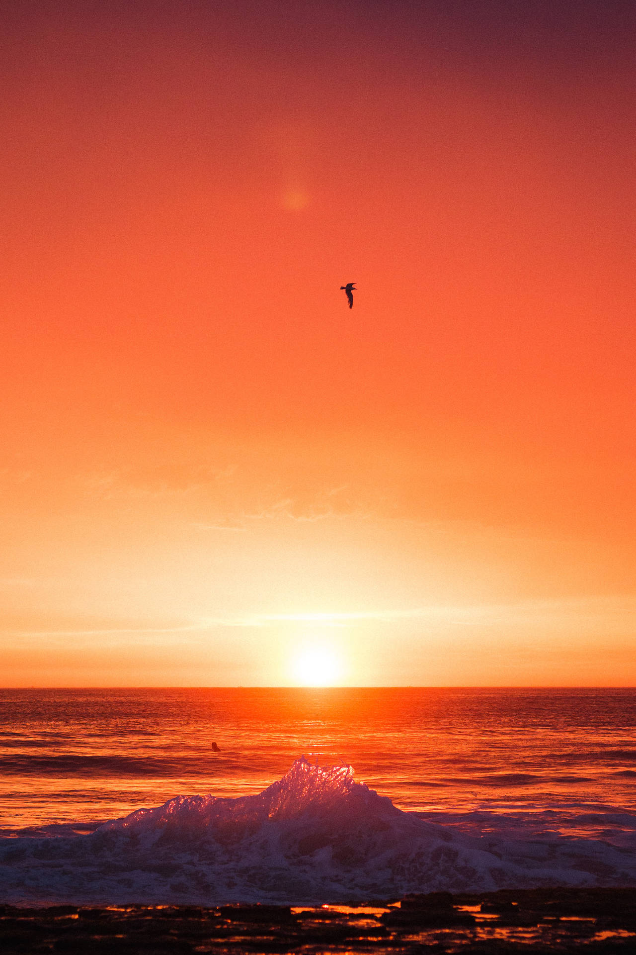3037X4556 Sunset Wallpaper and Background