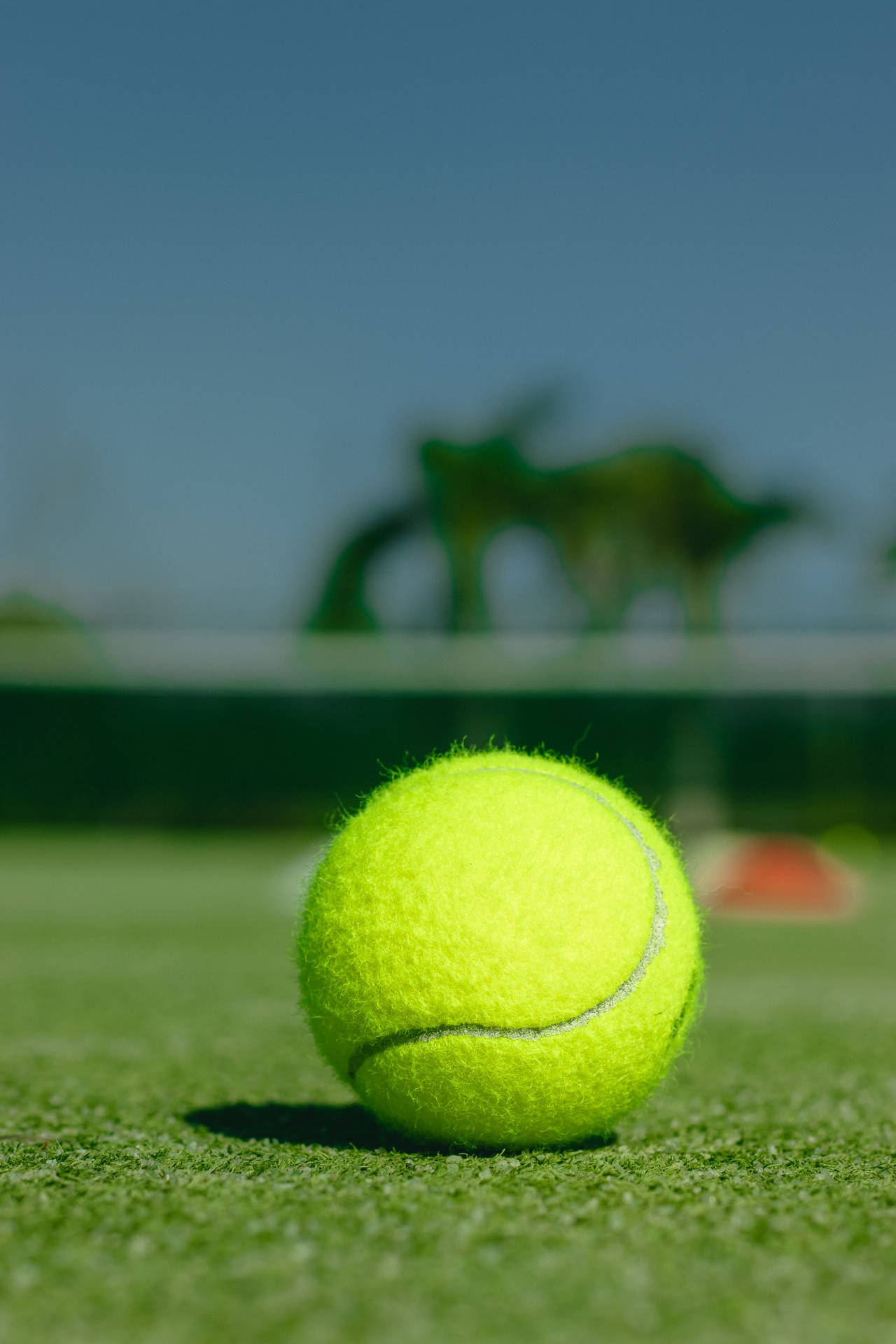 4000X6000 Tennis Wallpaper and Background