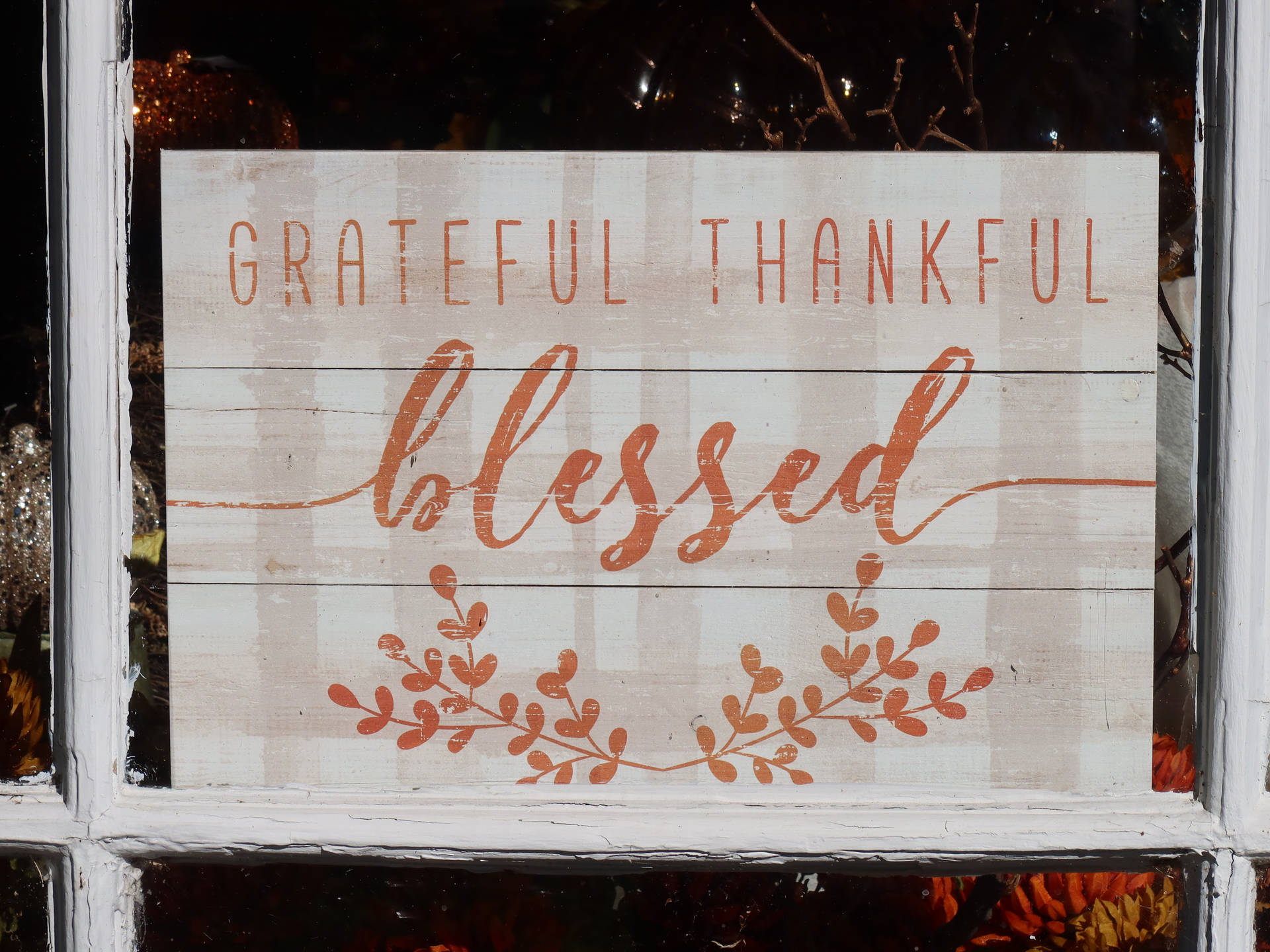 4864X3648 Thanksgiving Wallpaper and Background