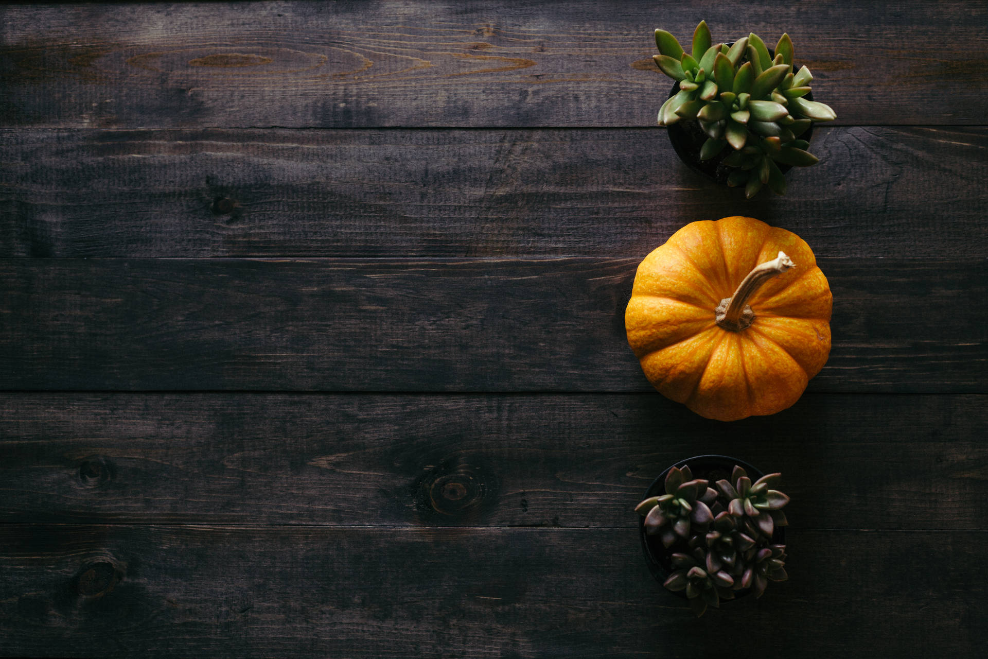 5269X3513 Thanksgiving Wallpaper and Background