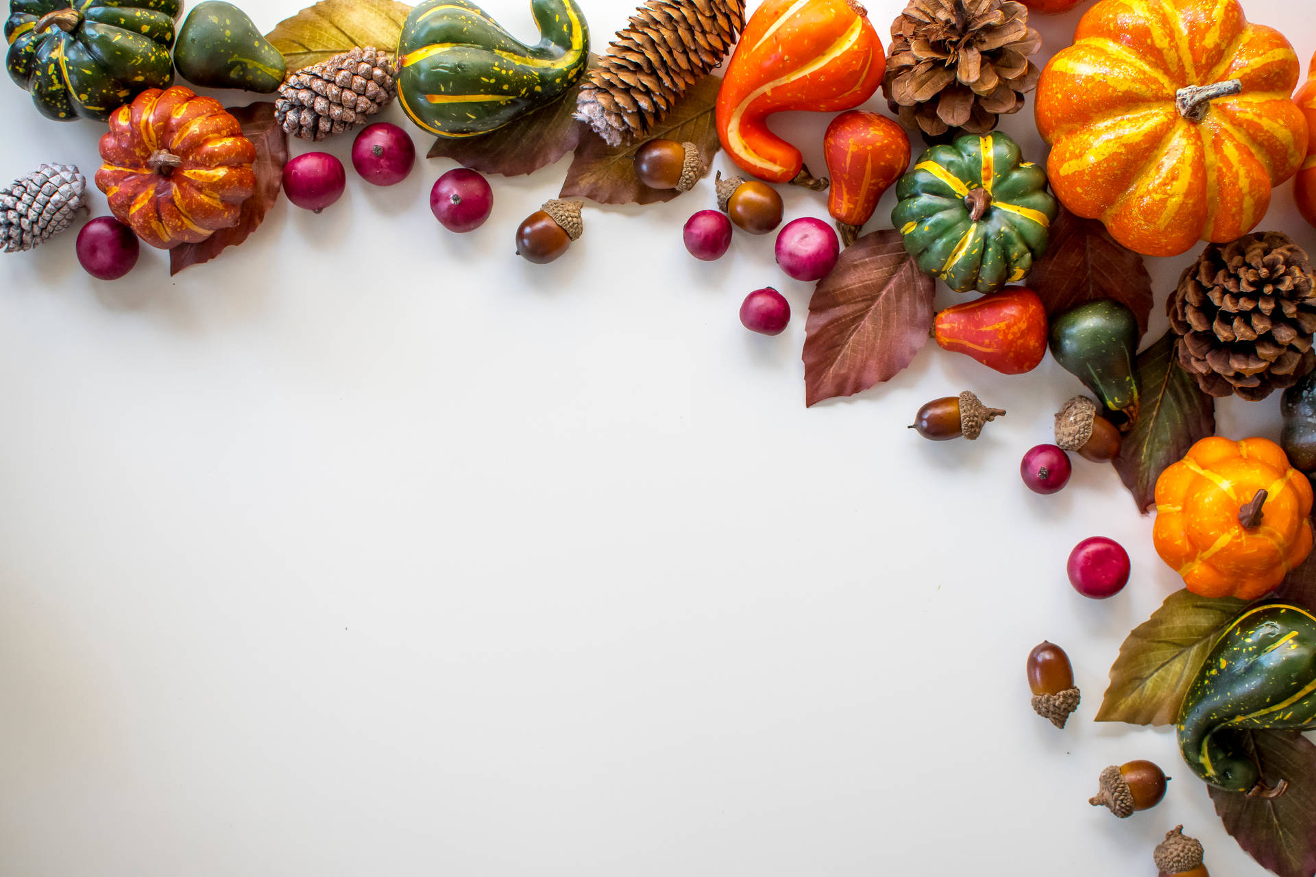 5568X3712 Thanksgiving Wallpaper and Background
