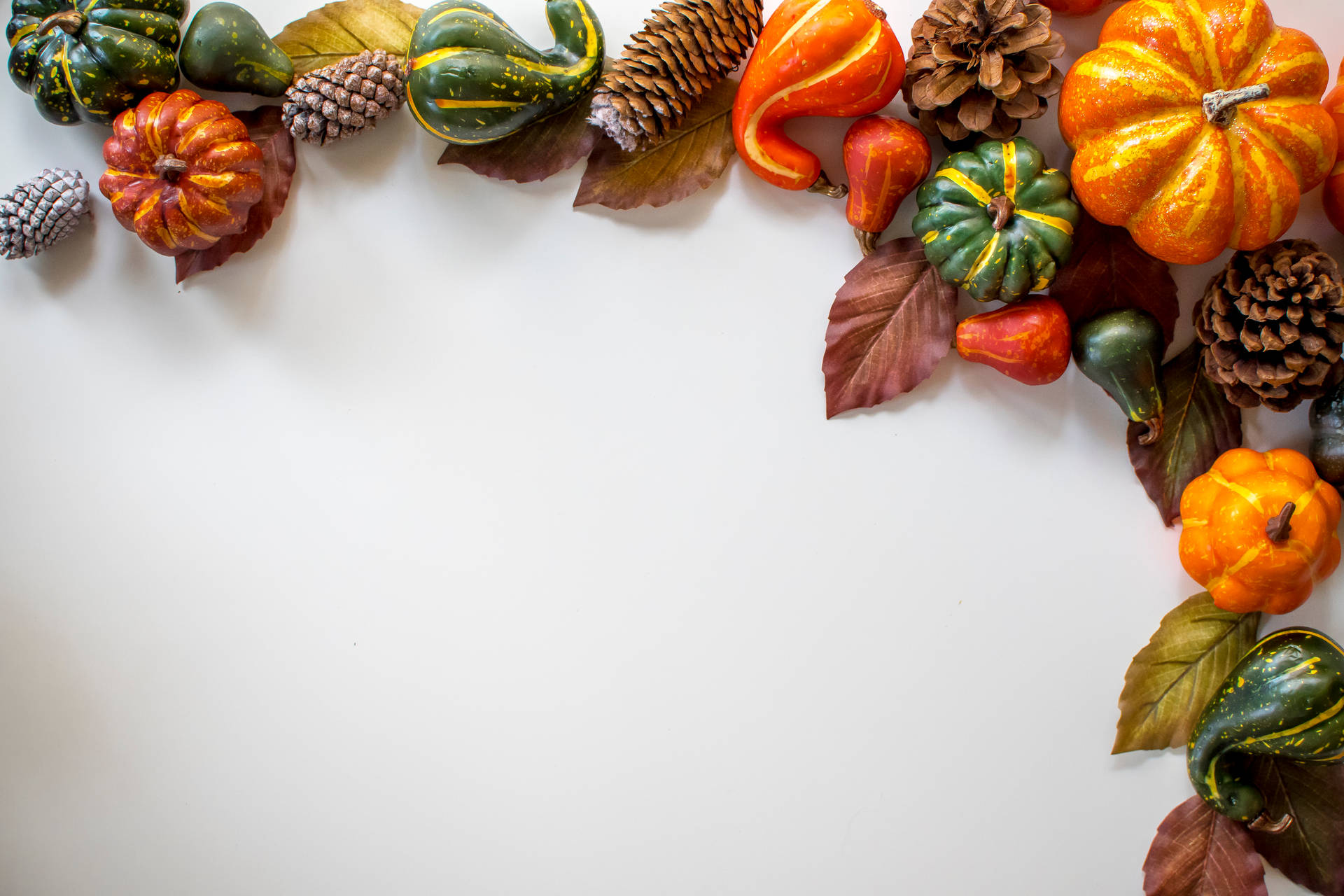 5568X3712 Thanksgiving Wallpaper and Background