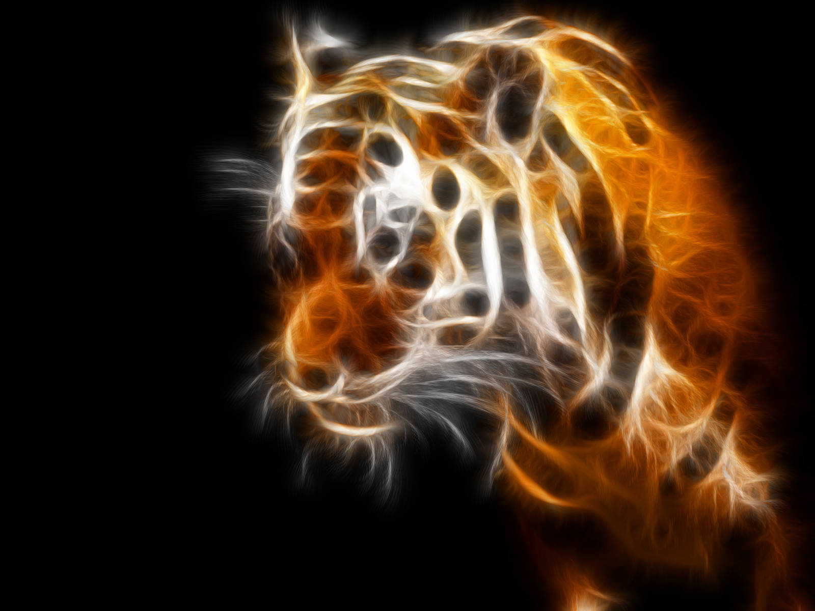 1600X1200 Tiger Wallpaper and Background