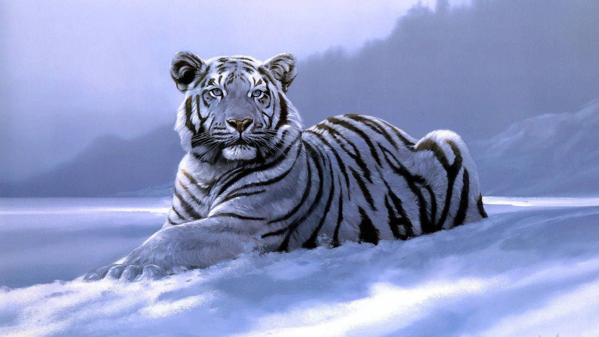 2000X1125 Tiger Wallpaper and Background