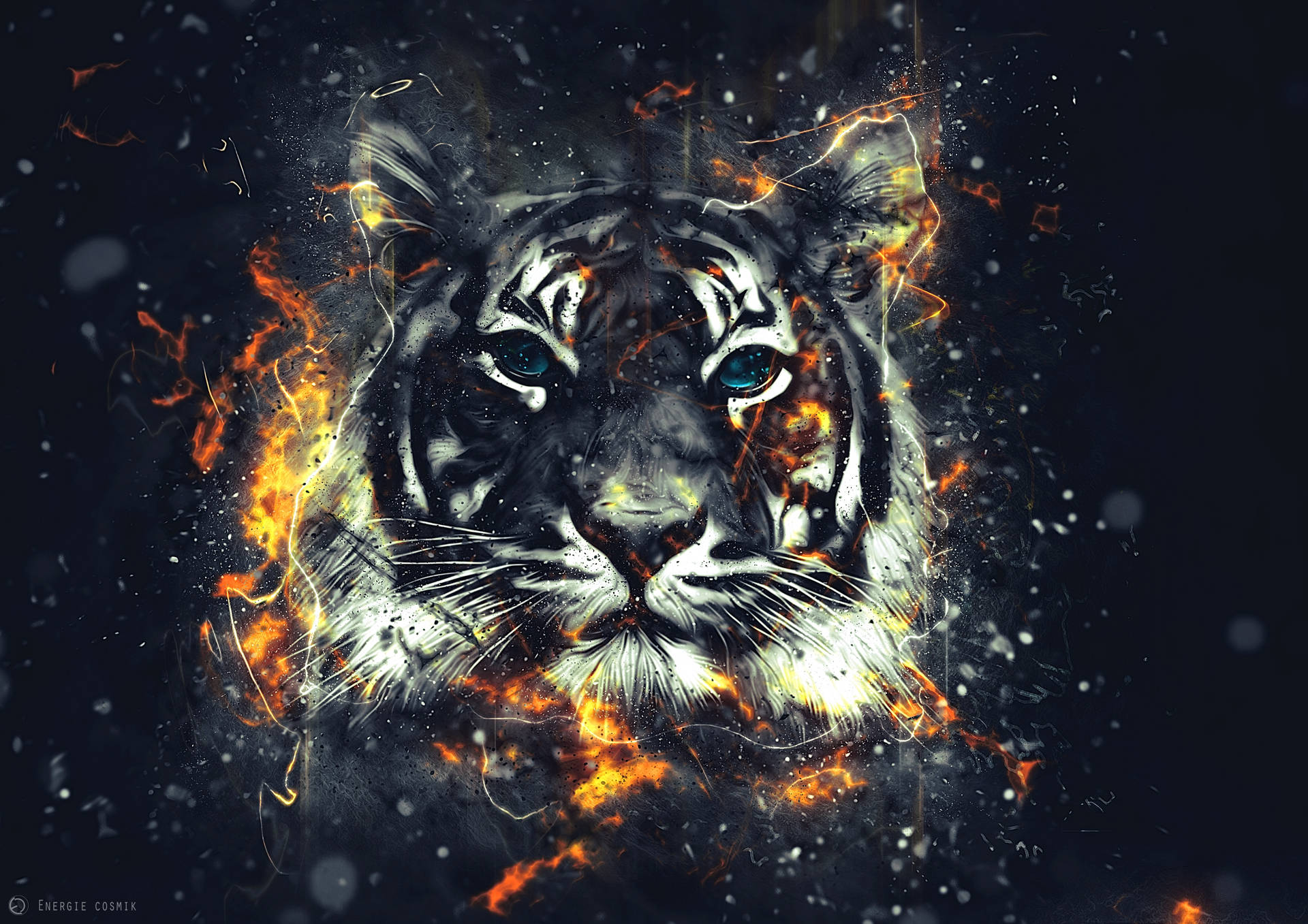 3508X2480 Tiger Wallpaper and Background