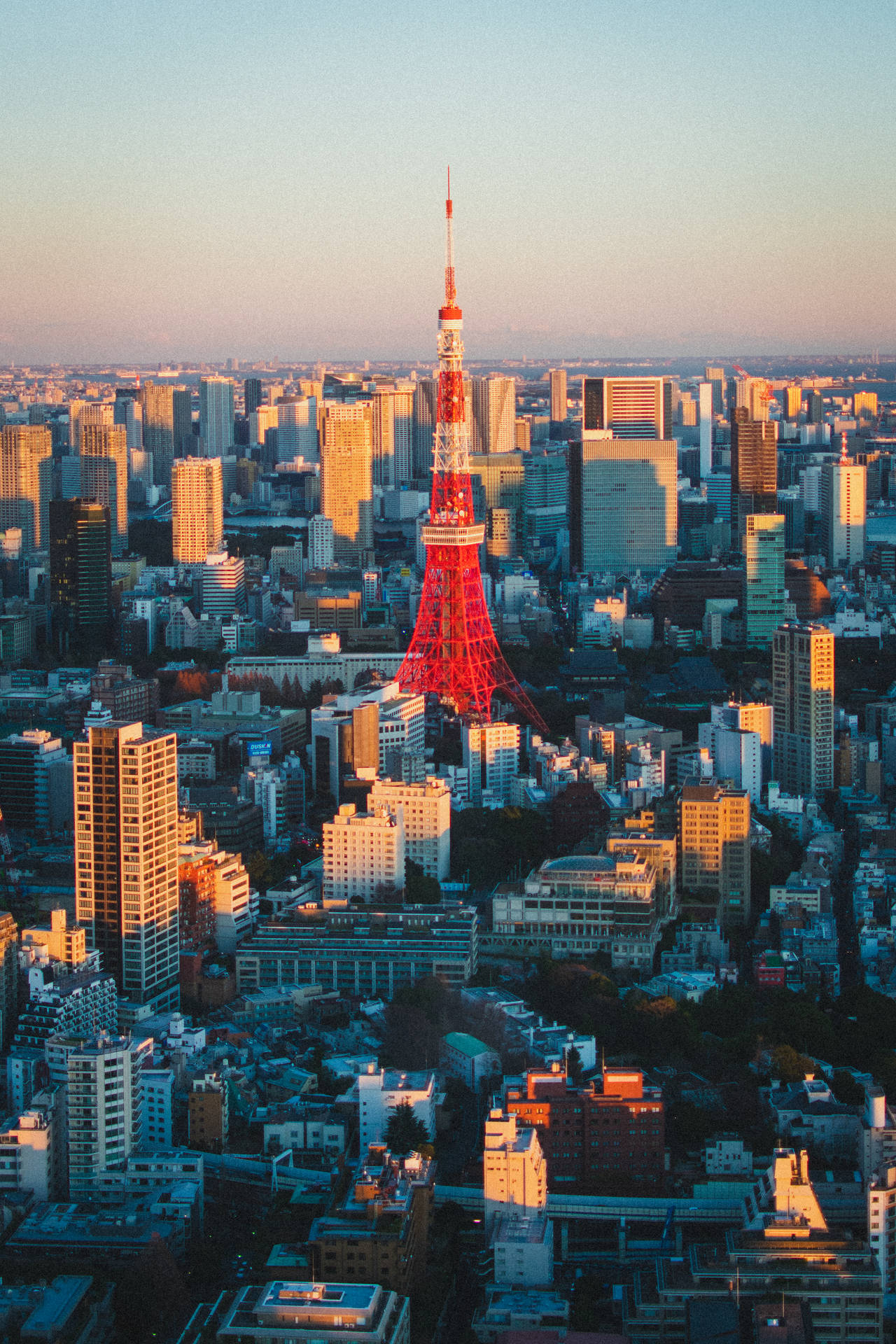3195X4793 Tokyo Wallpaper and Background