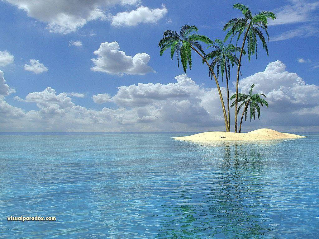 1024X768 Tropical Wallpaper and Background