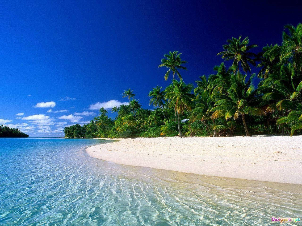 1280X960 Tropical Wallpaper and Background