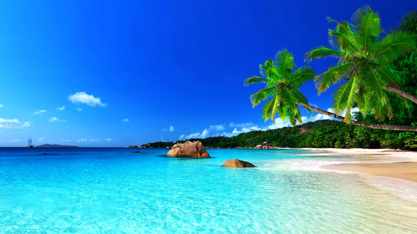1366X768 Tropical Wallpaper and Background
