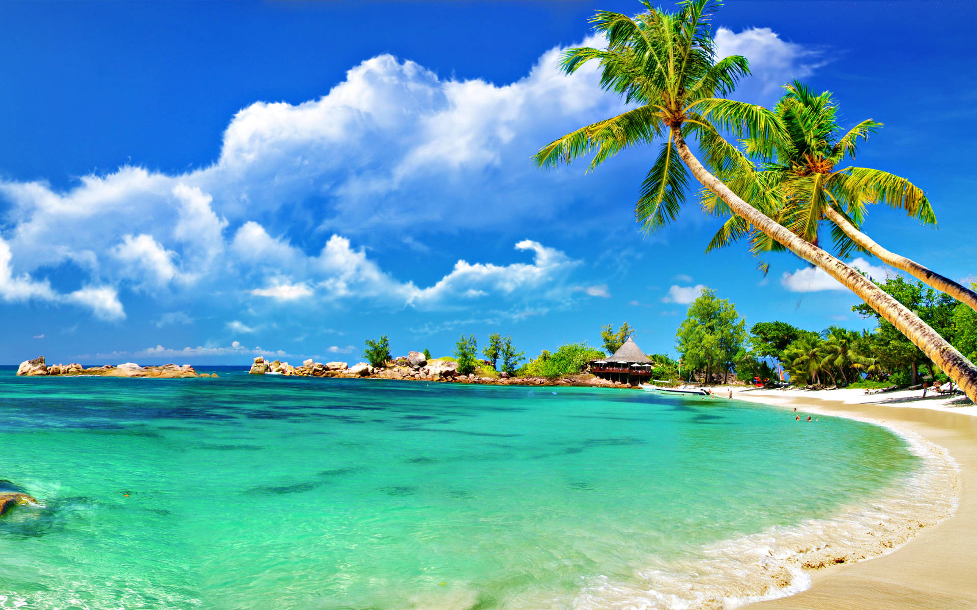 2560X1600 Tropical Wallpaper and Background