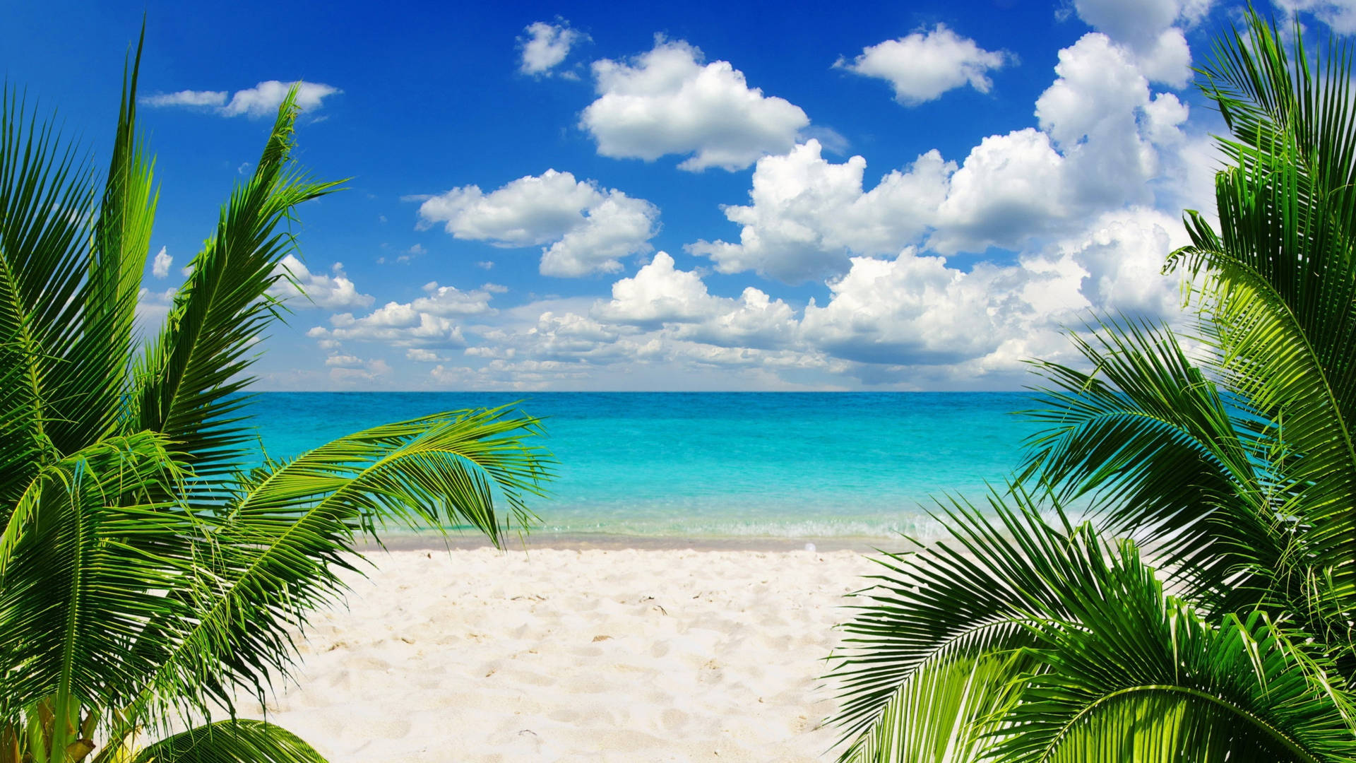 3840X2160 Tropical Wallpaper and Background