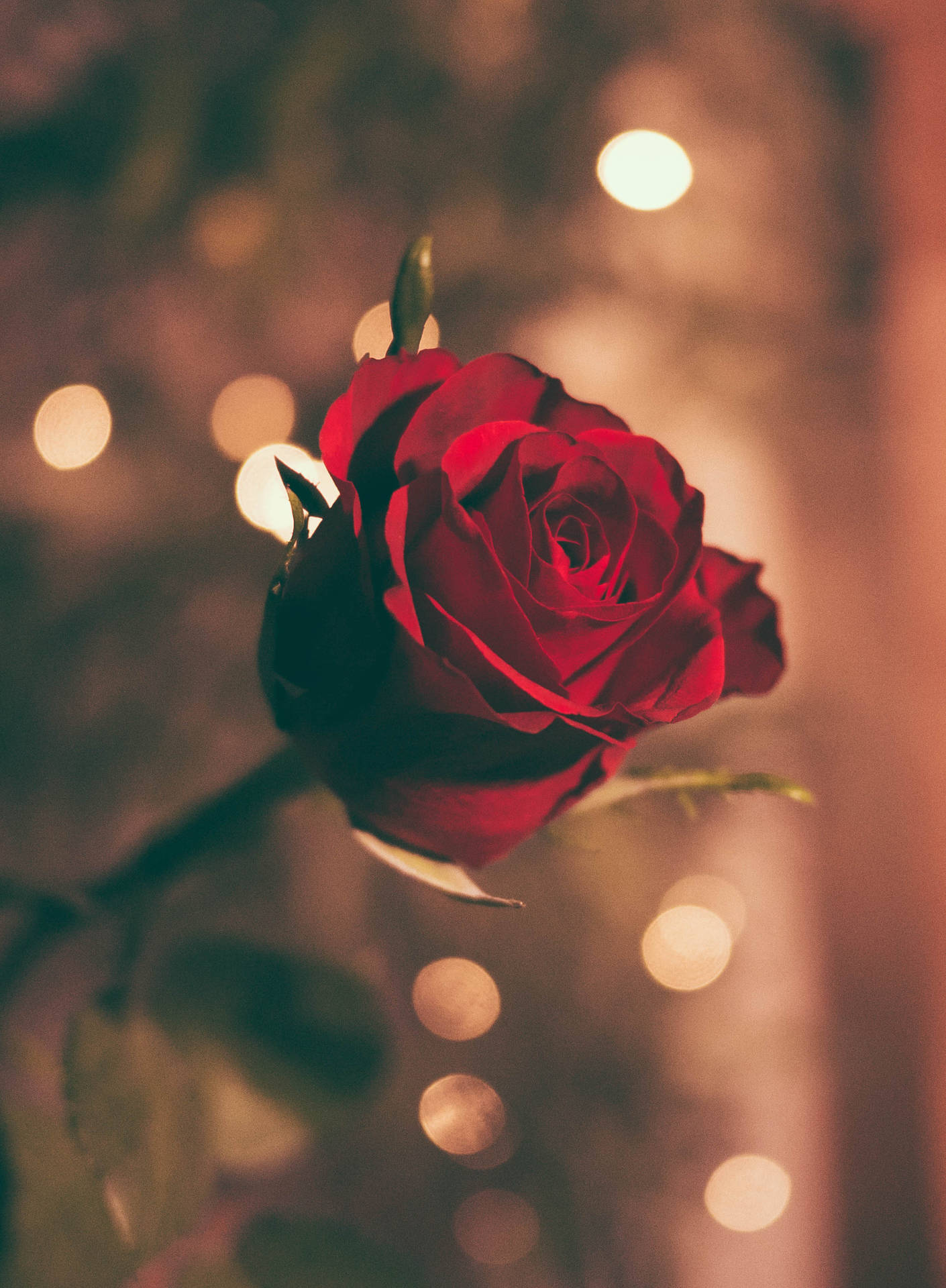 2378X3237 Valentines Day Wallpaper and Background