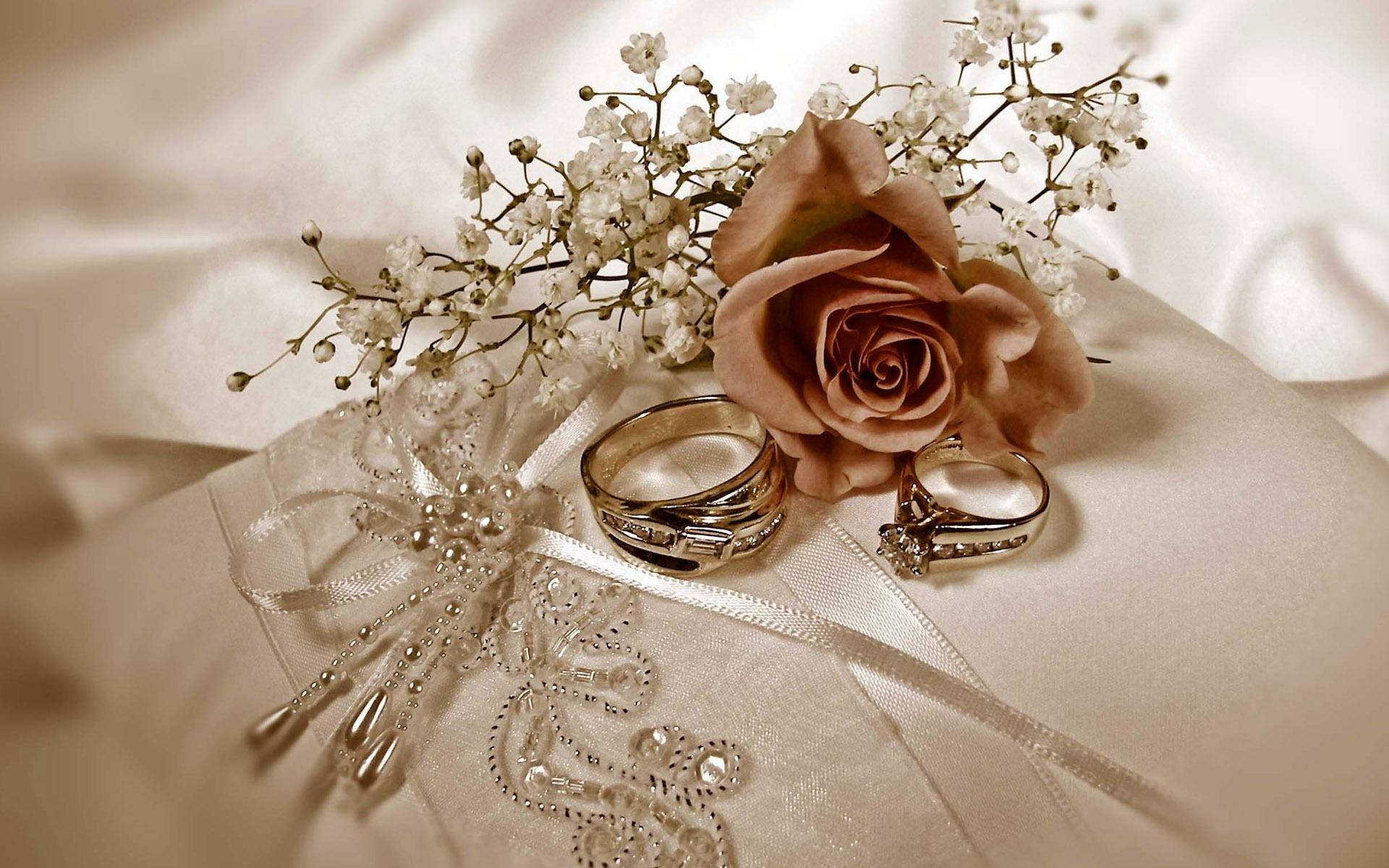 1920X1200 Wedding Wallpaper and Background