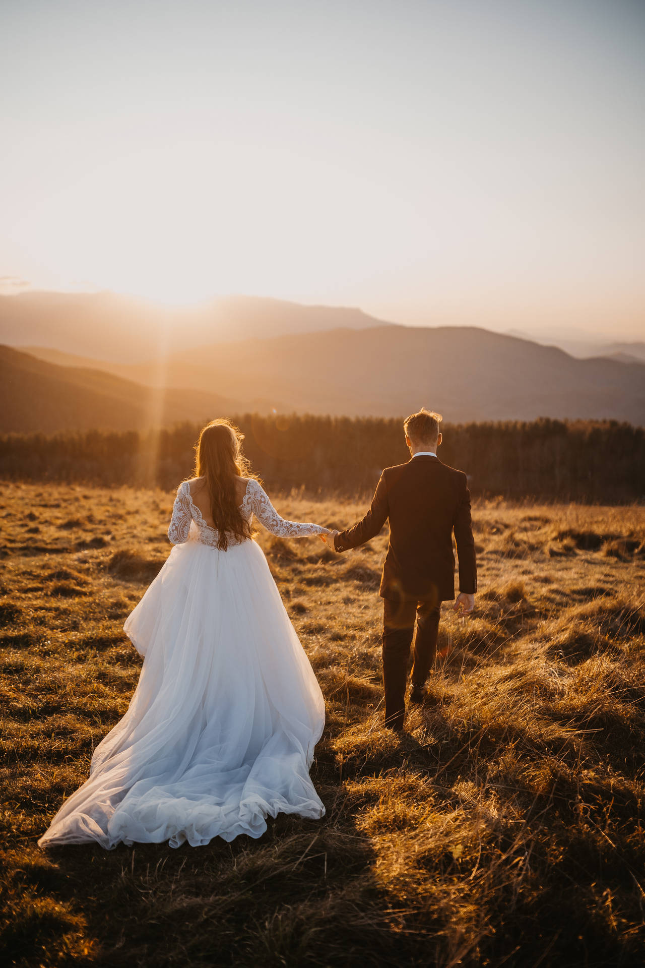 3648X5472 Wedding Wallpaper and Background