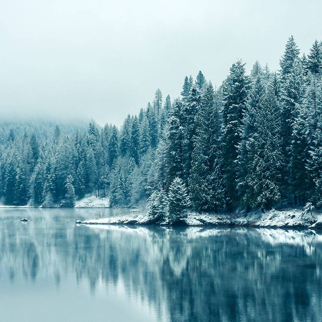 1024X1024 Winter Wallpaper and Background
