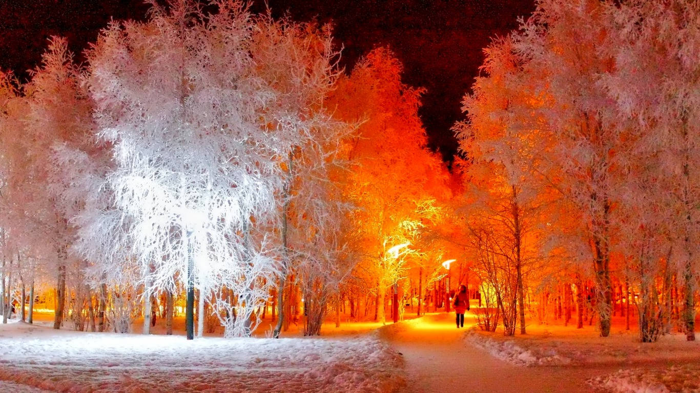 1366X768 Winter Wallpaper and Background