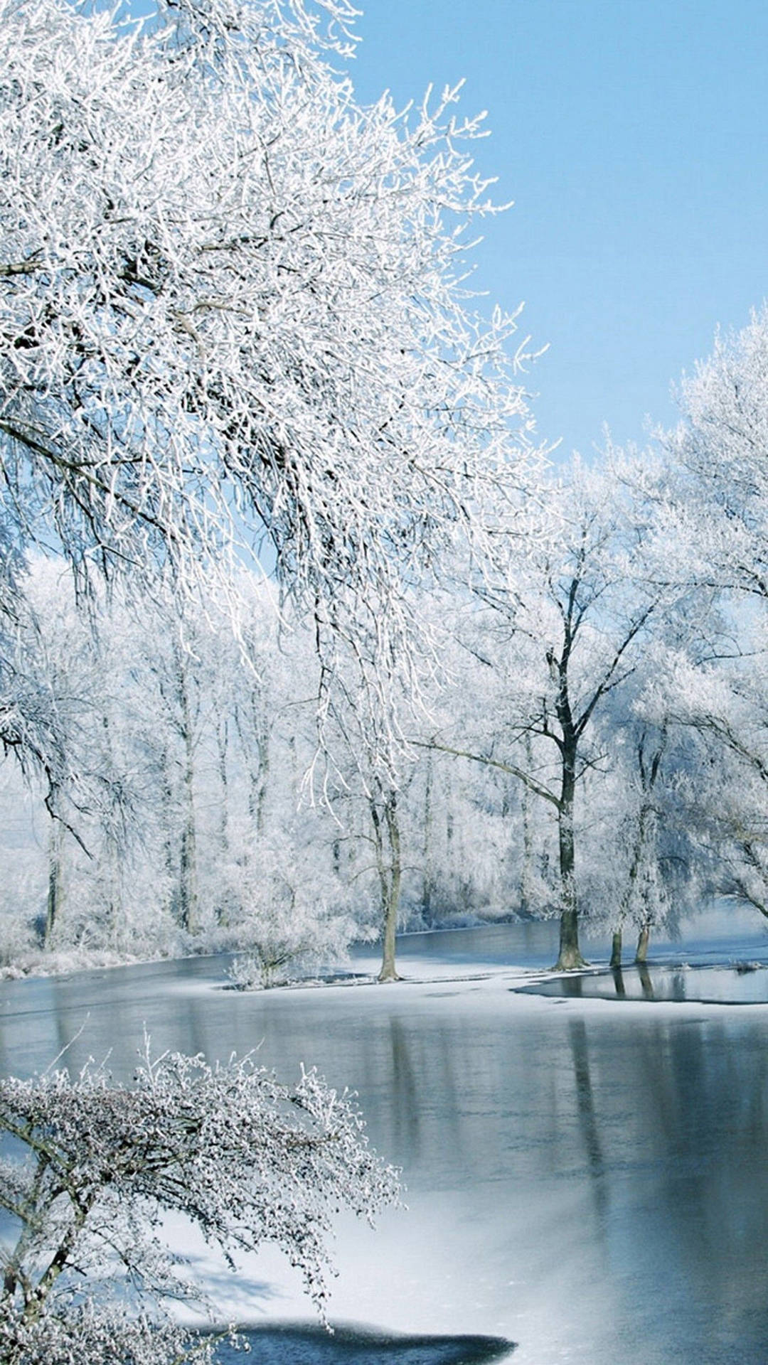 1440X2560 Winter Wallpaper and Background