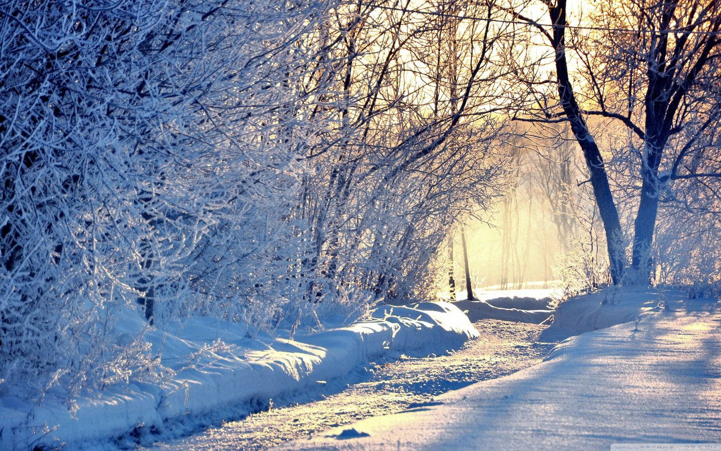 1440X900 Winter Wallpaper and Background
