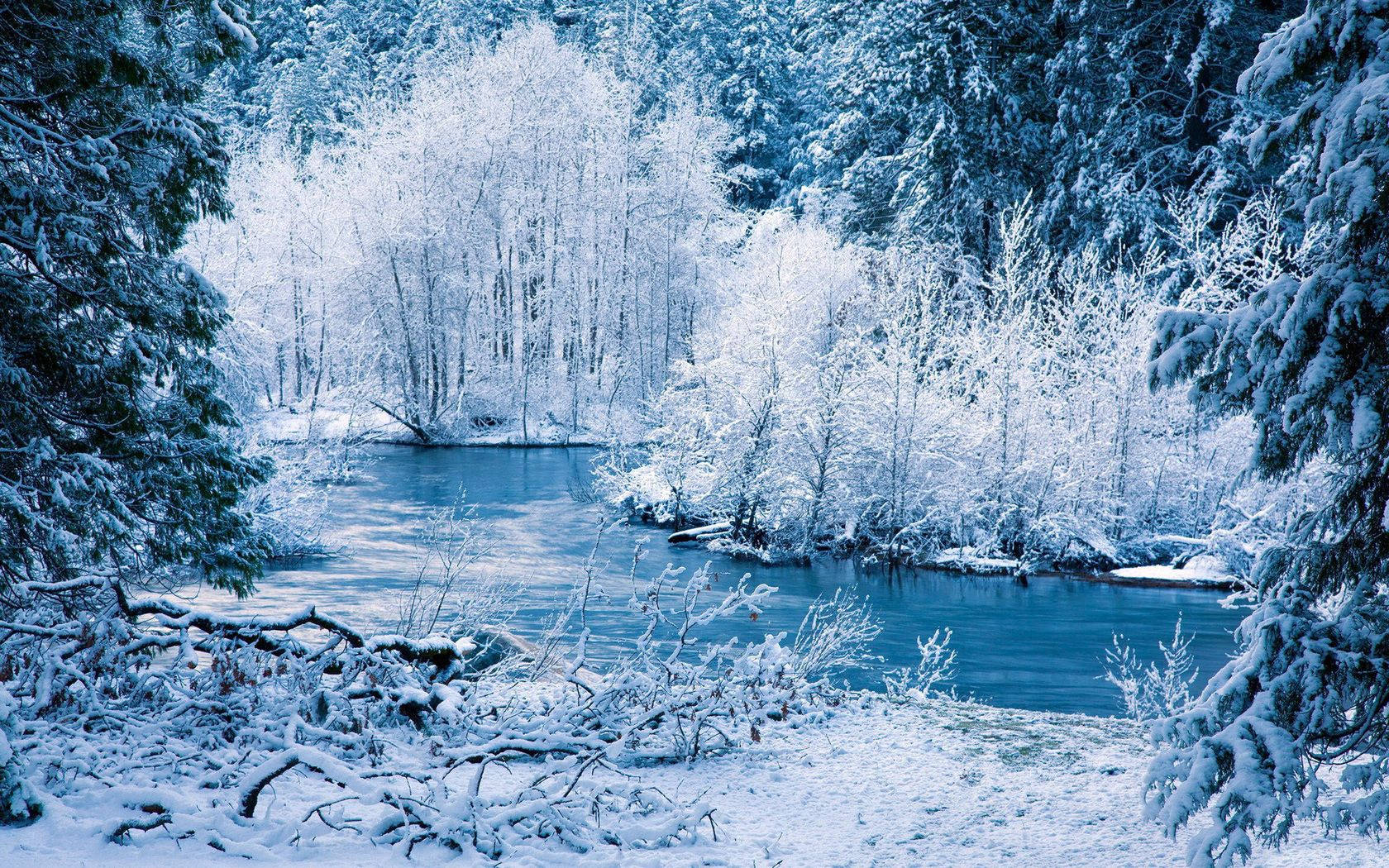 1680X1050 Winter Wallpaper and Background