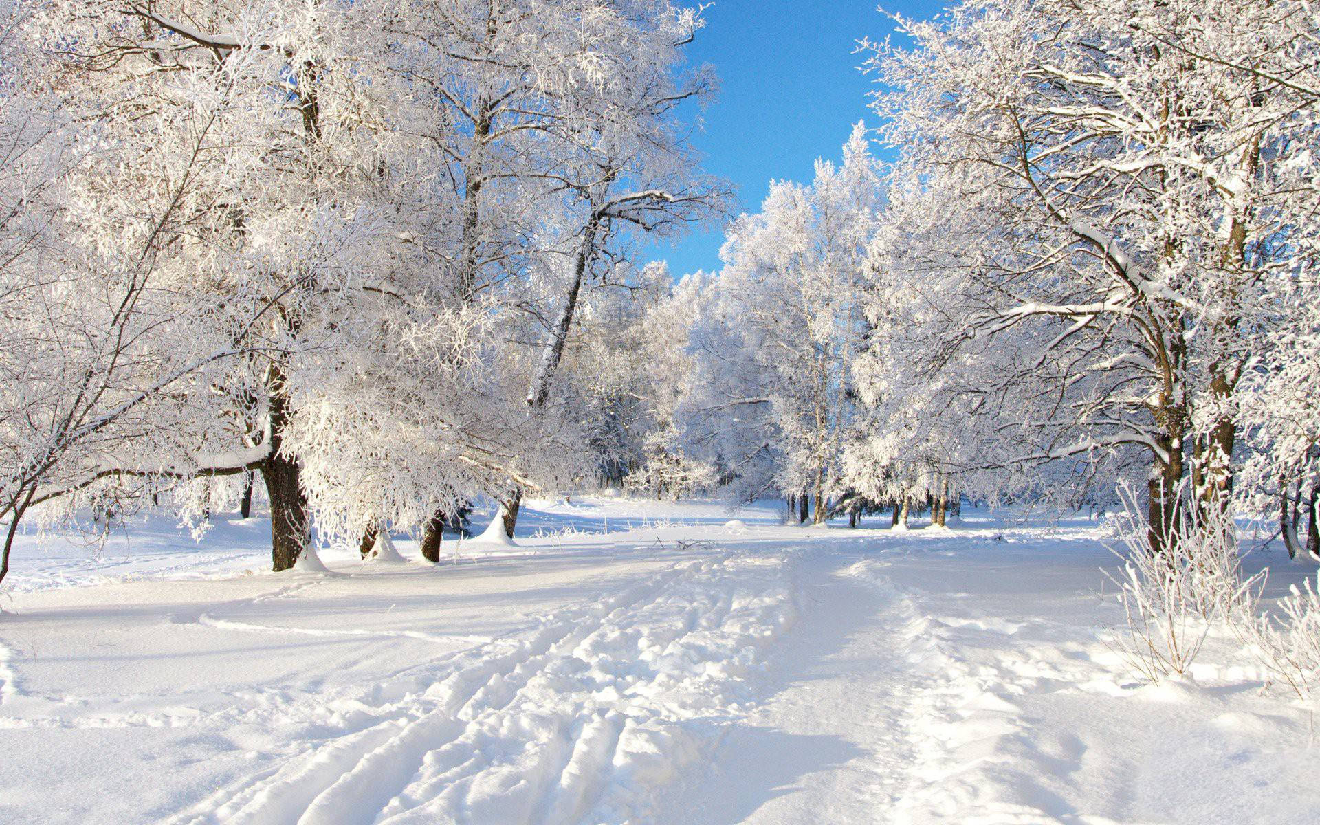 1920X1200 Winter Wallpaper and Background