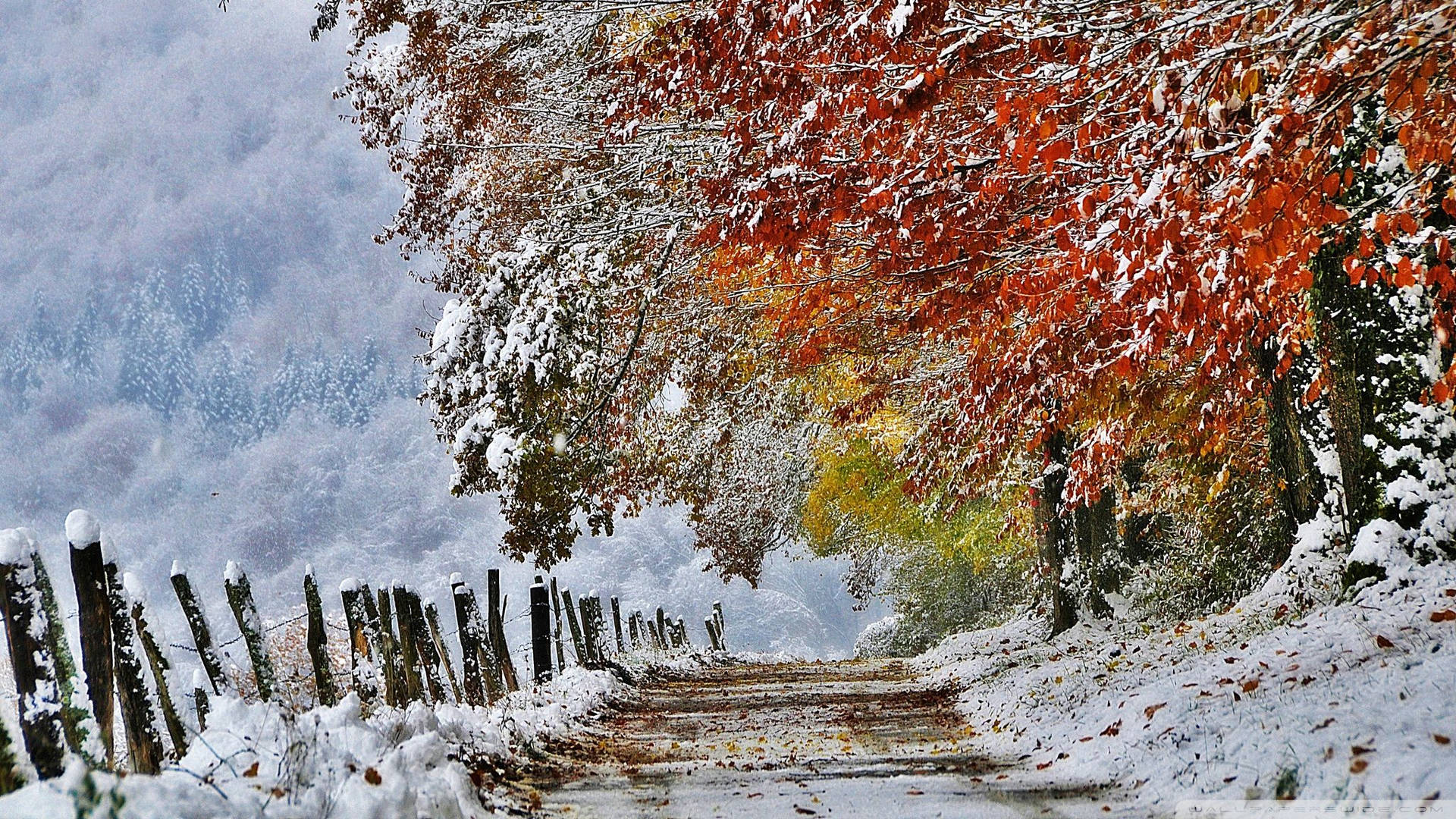 2048X1152 Winter Wallpaper and Background