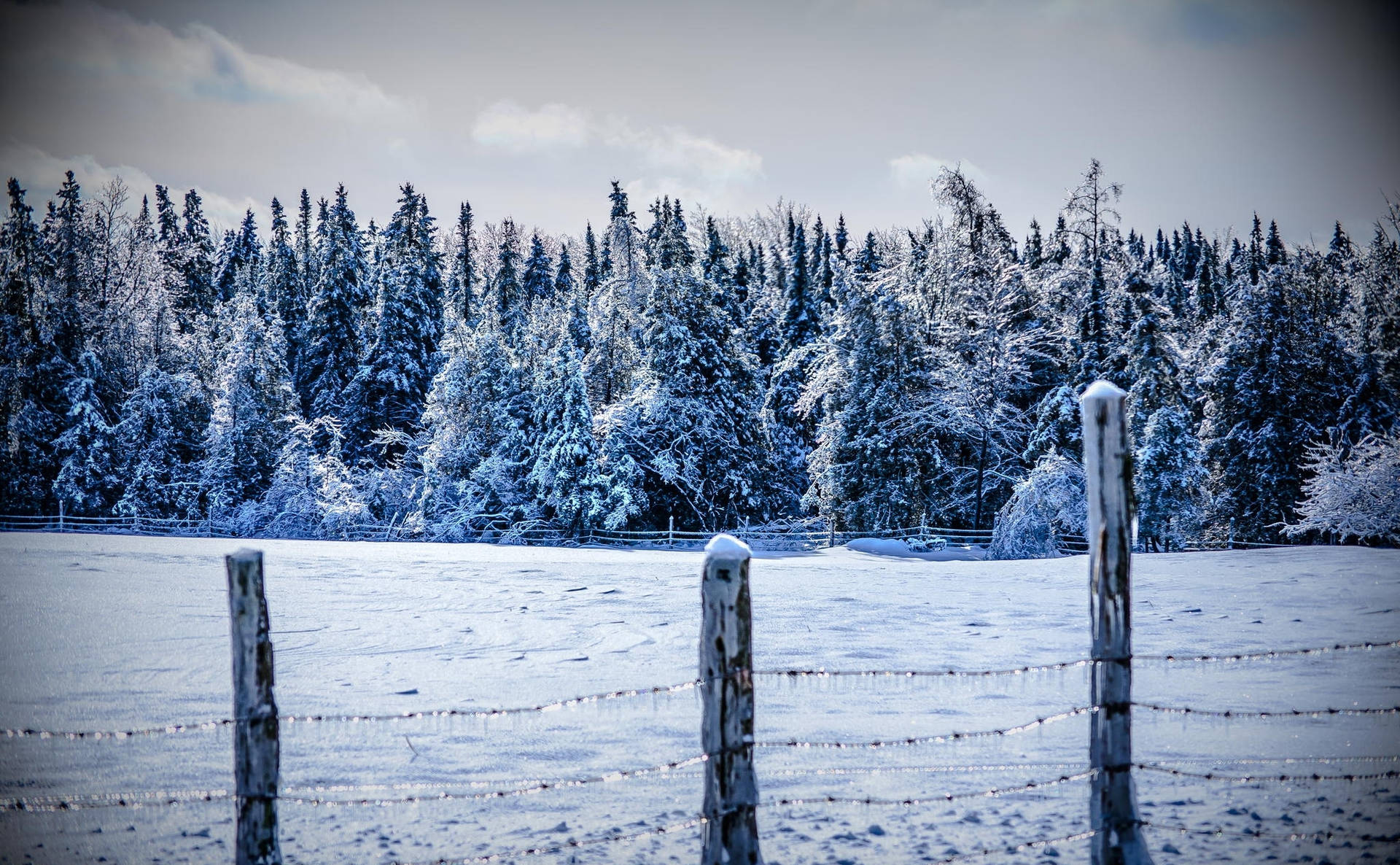 2048X1265 Winter Wallpaper and Background