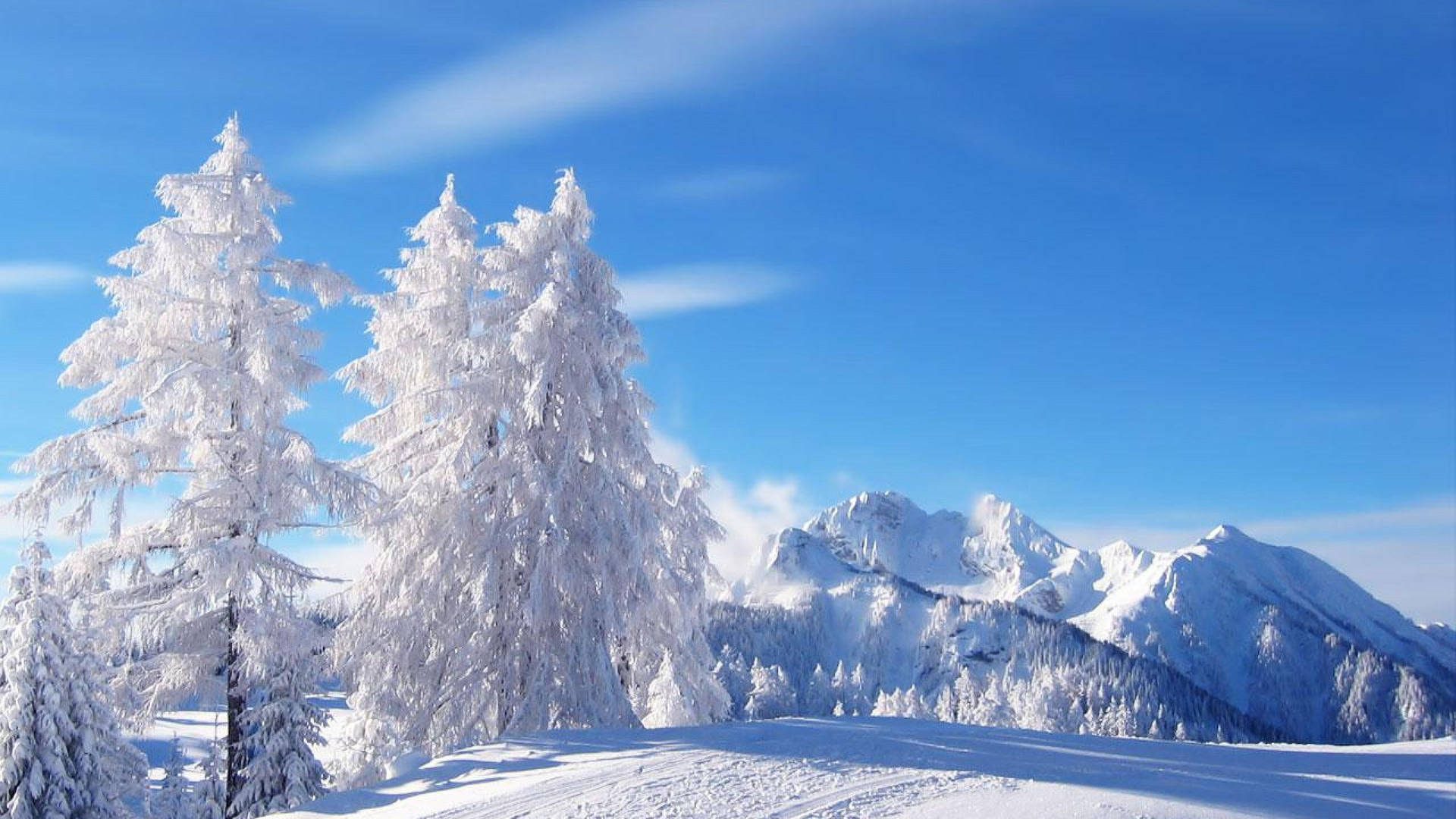 2560X1440 Winter Wallpaper and Background