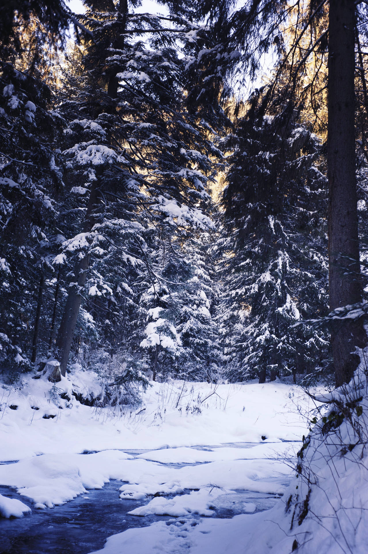2832X4256 Winter Wallpaper and Background